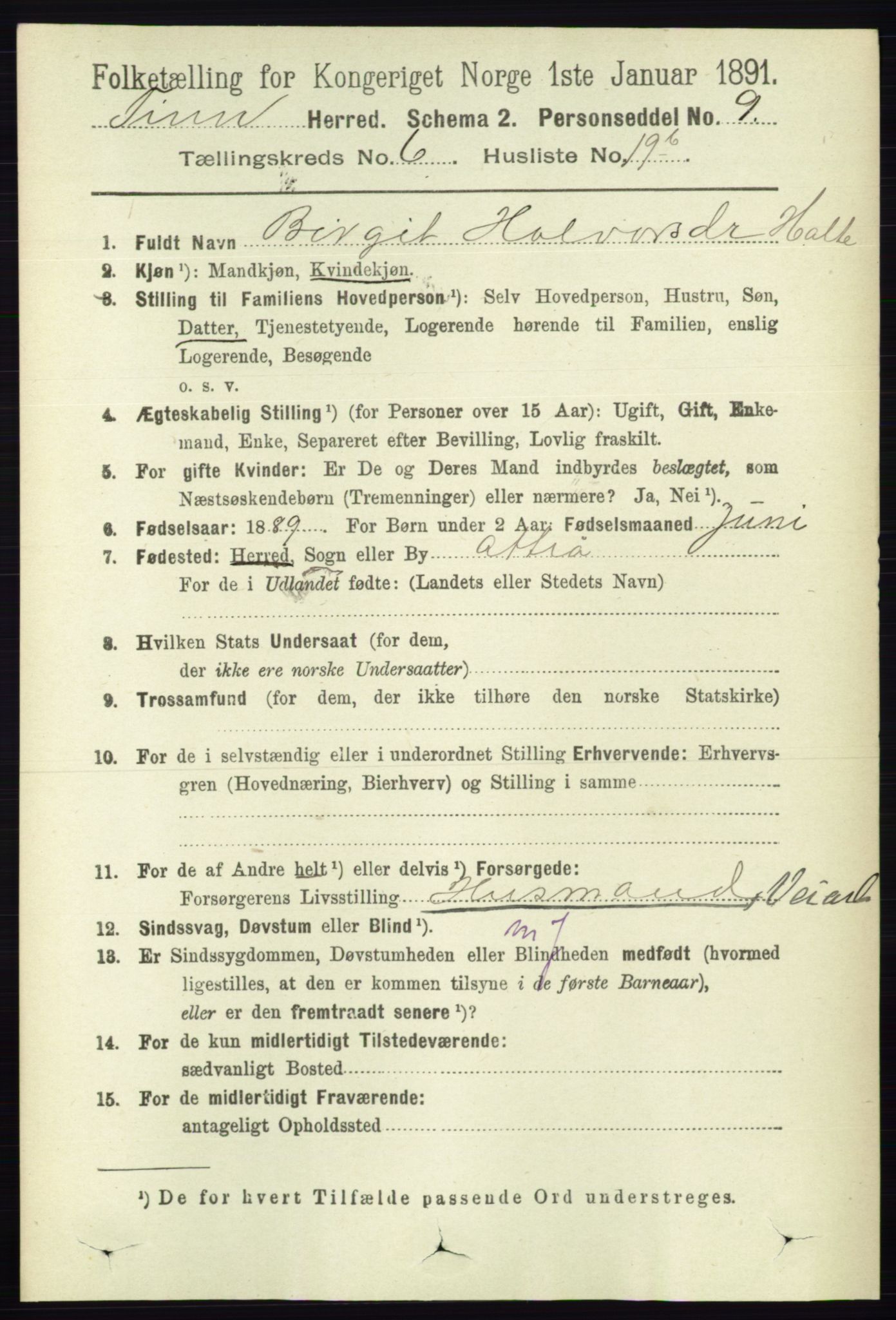 RA, 1891 census for 0826 Tinn, 1891, p. 1344