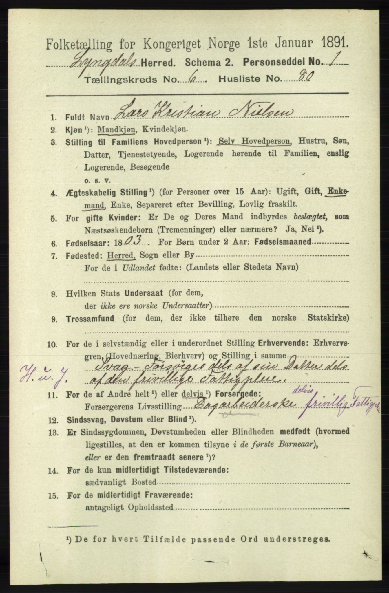 RA, 1891 census for 1032 Lyngdal, 1891, p. 2820