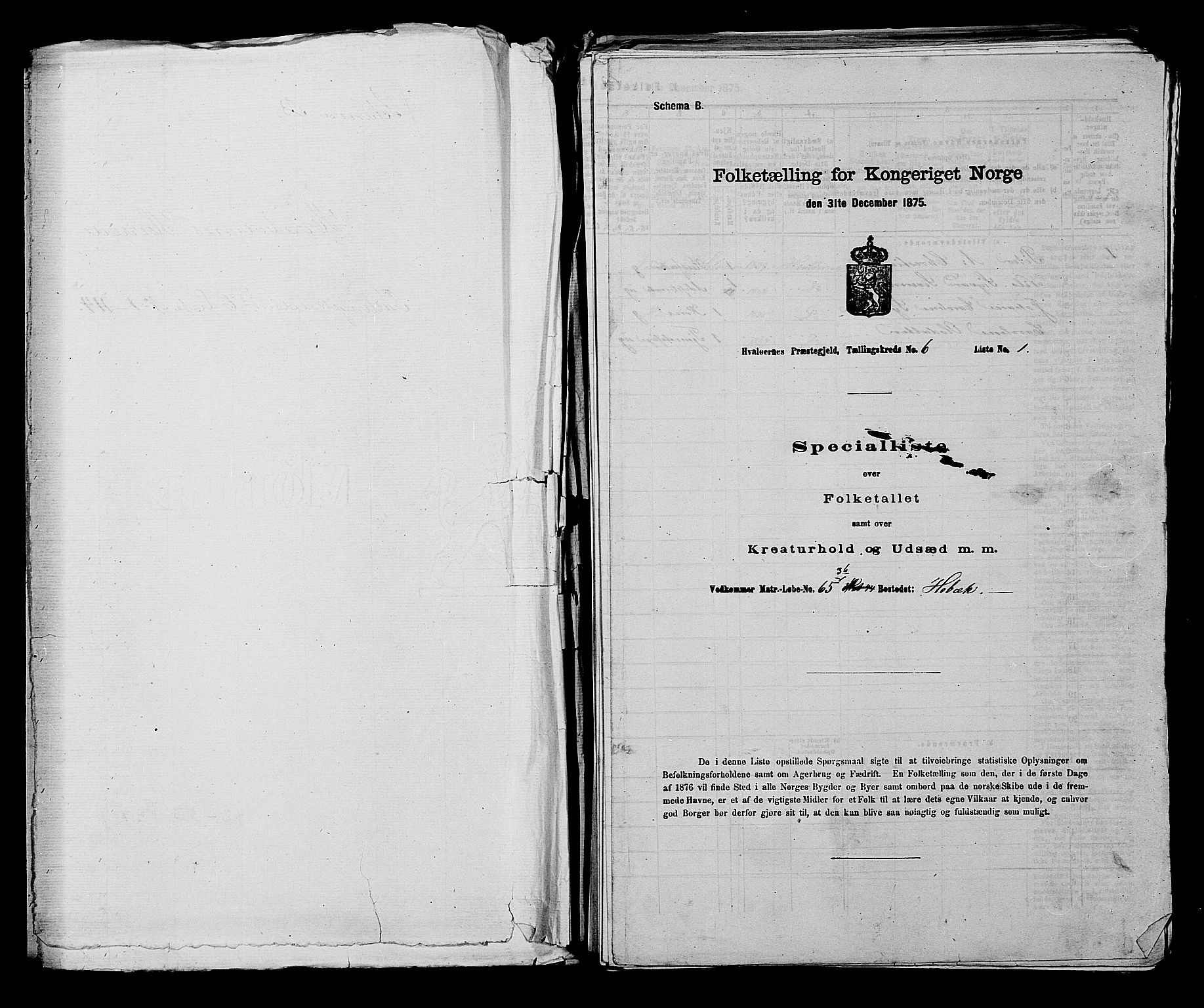 RA, 1875 census for 0111P Hvaler, 1875, p. 732