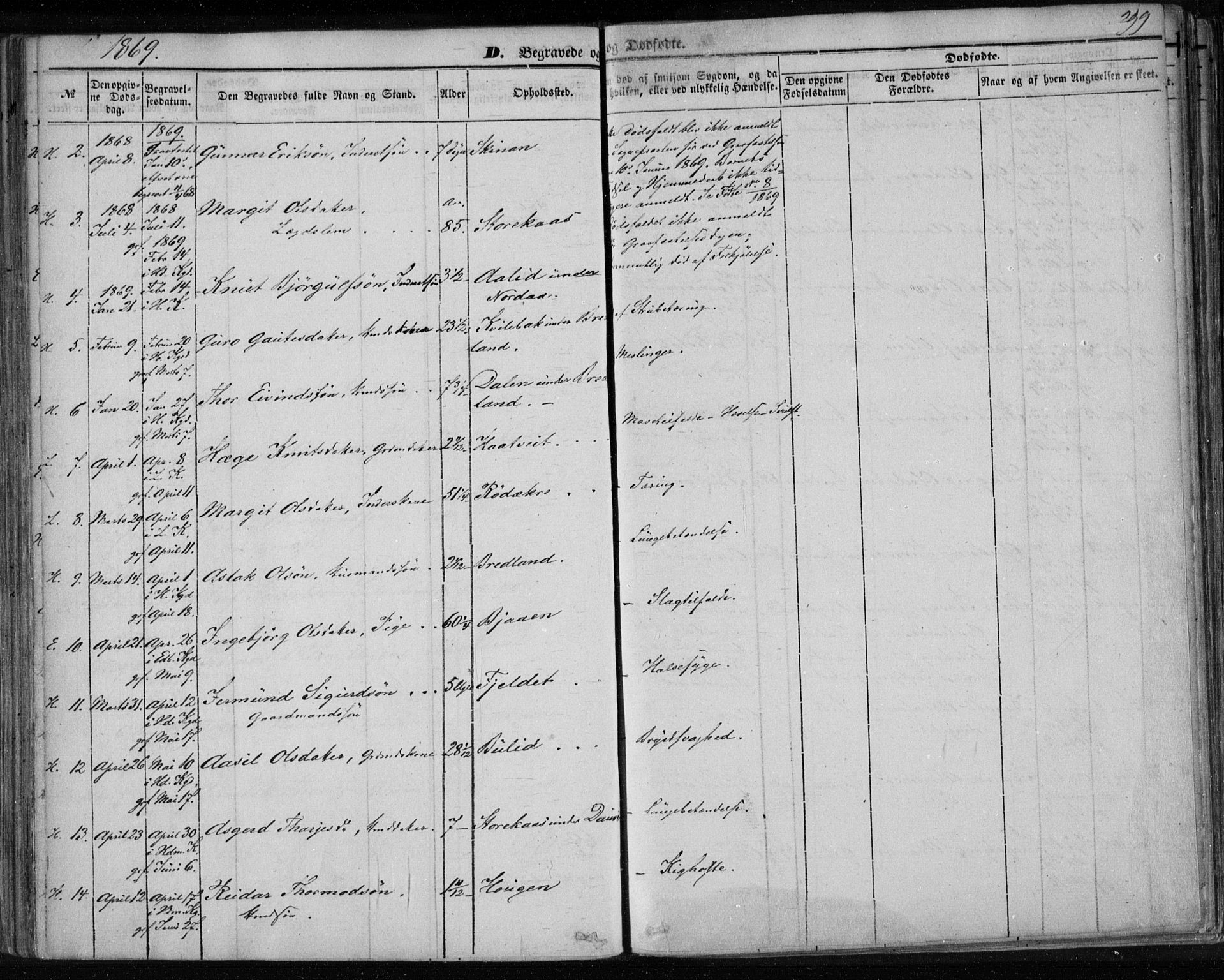 Lårdal kirkebøker, AV/SAKO-A-284/F/Fa/L0006: Parish register (official) no. I 6, 1861-1886, p. 299