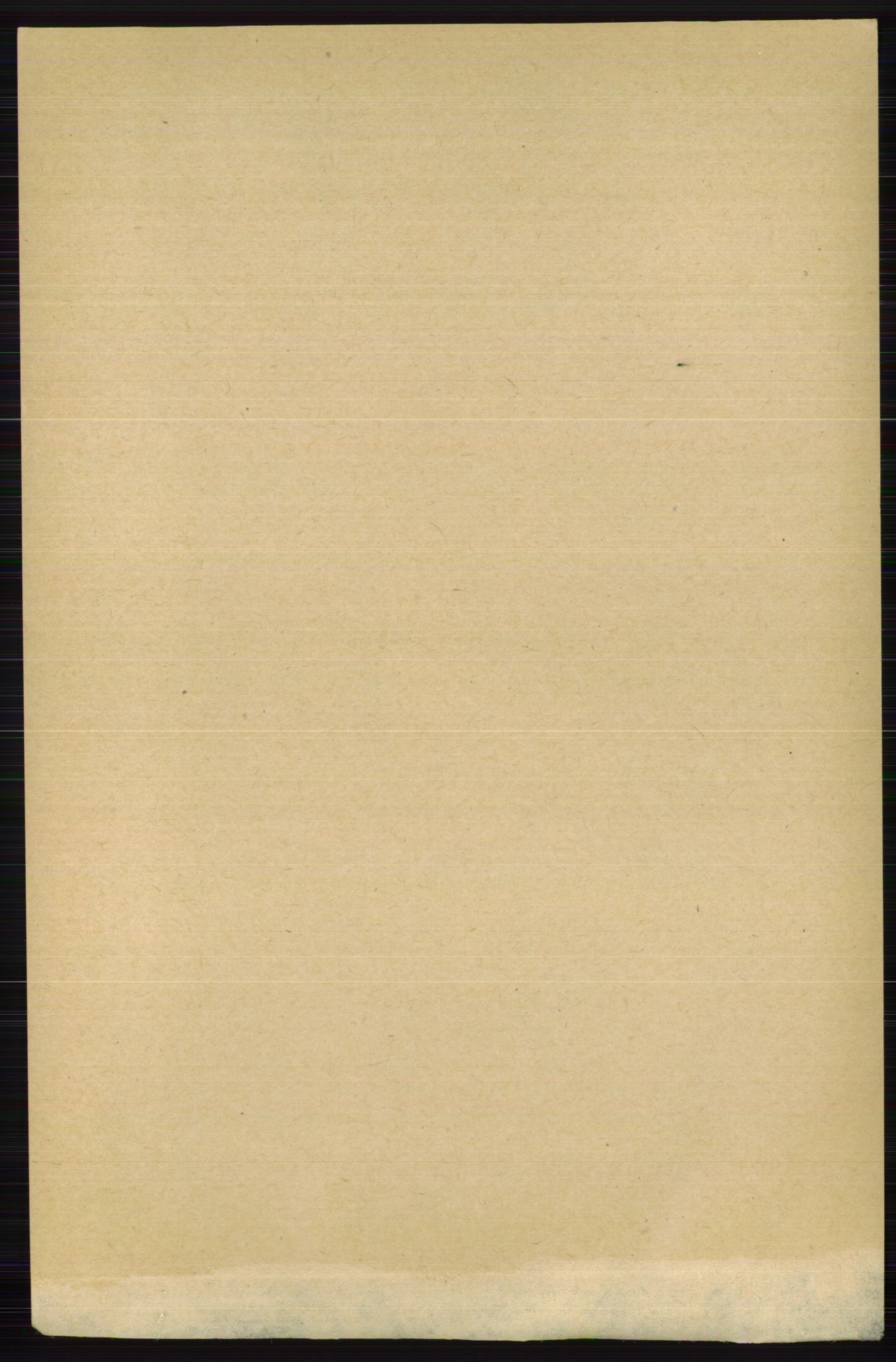 RA, 1891 census for 0712 Skoger, 1891, p. 3707