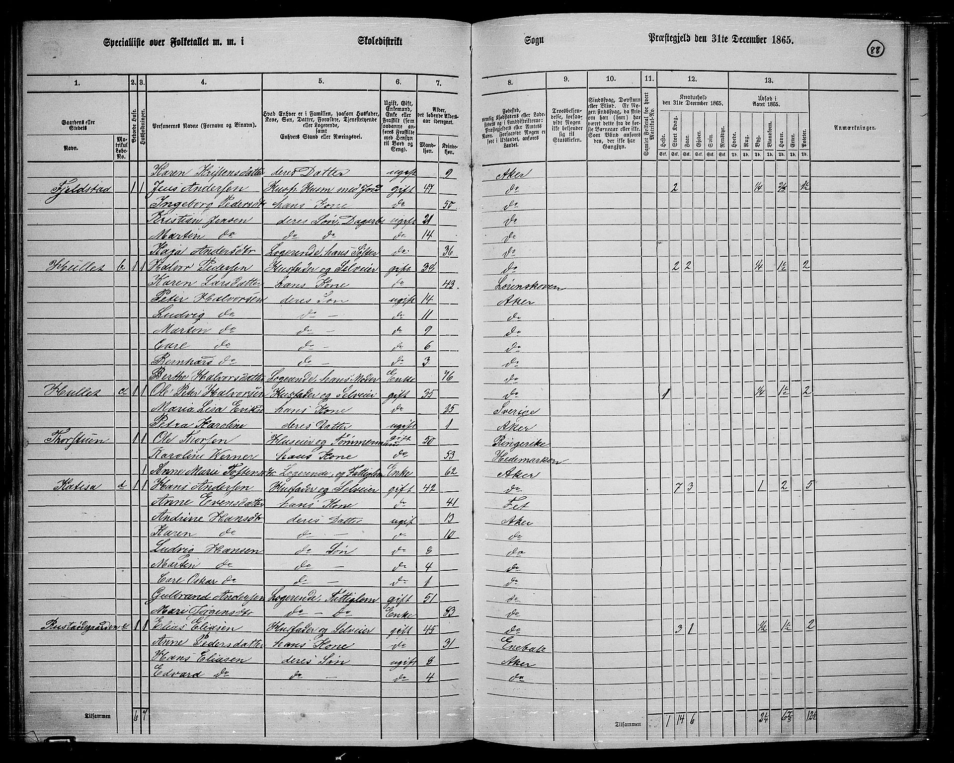 RA, 1865 census for Østre Aker, 1865, p. 312