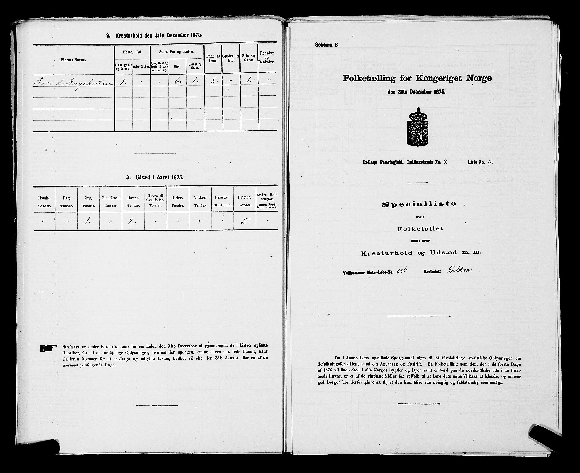 SAKO, 1875 census for 0632P Rollag, 1875, p. 263