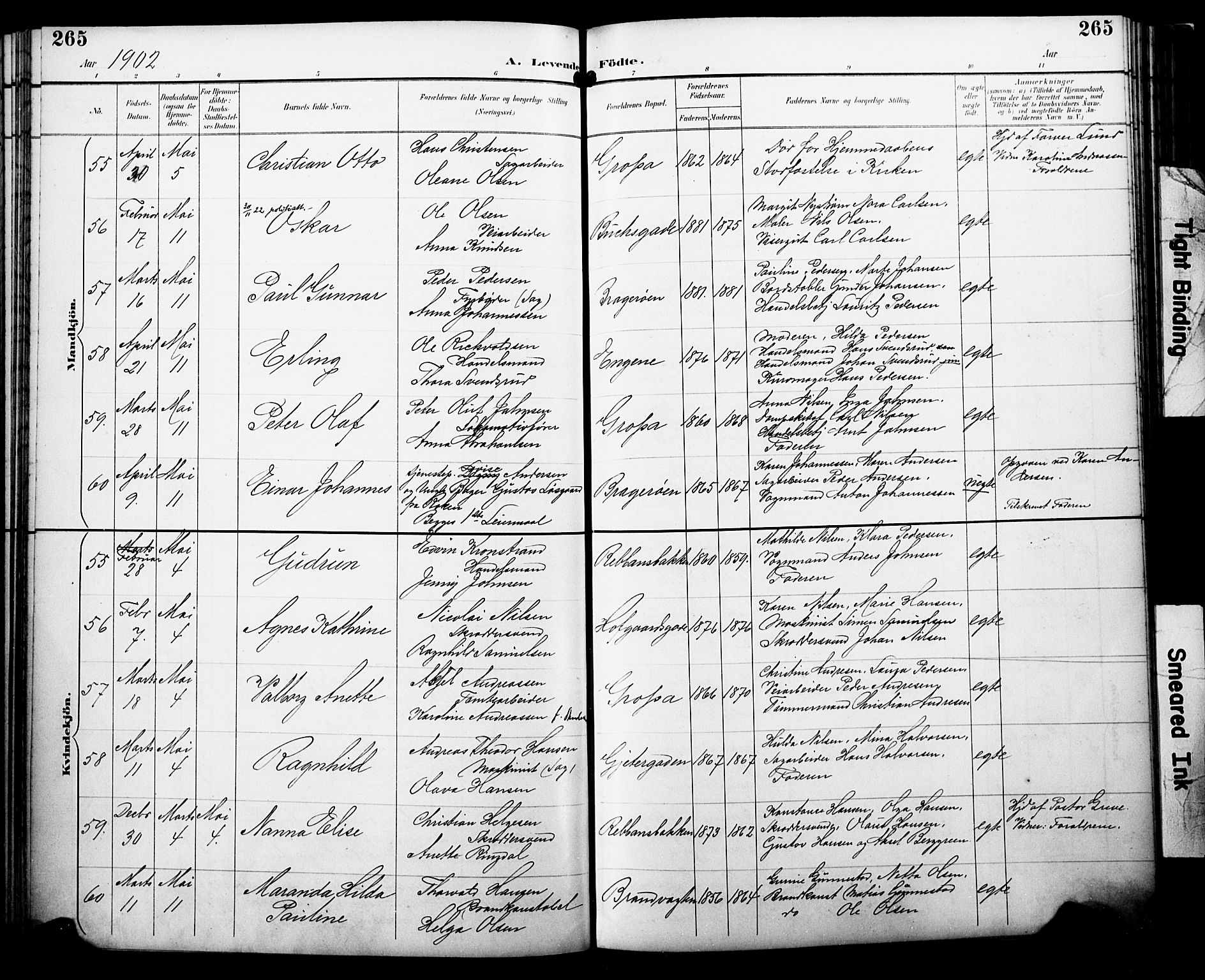 Bragernes kirkebøker, SAKO/A-6/F/Fb/L0008: Parish register (official) no. II 8, 1894-1902, p. 265