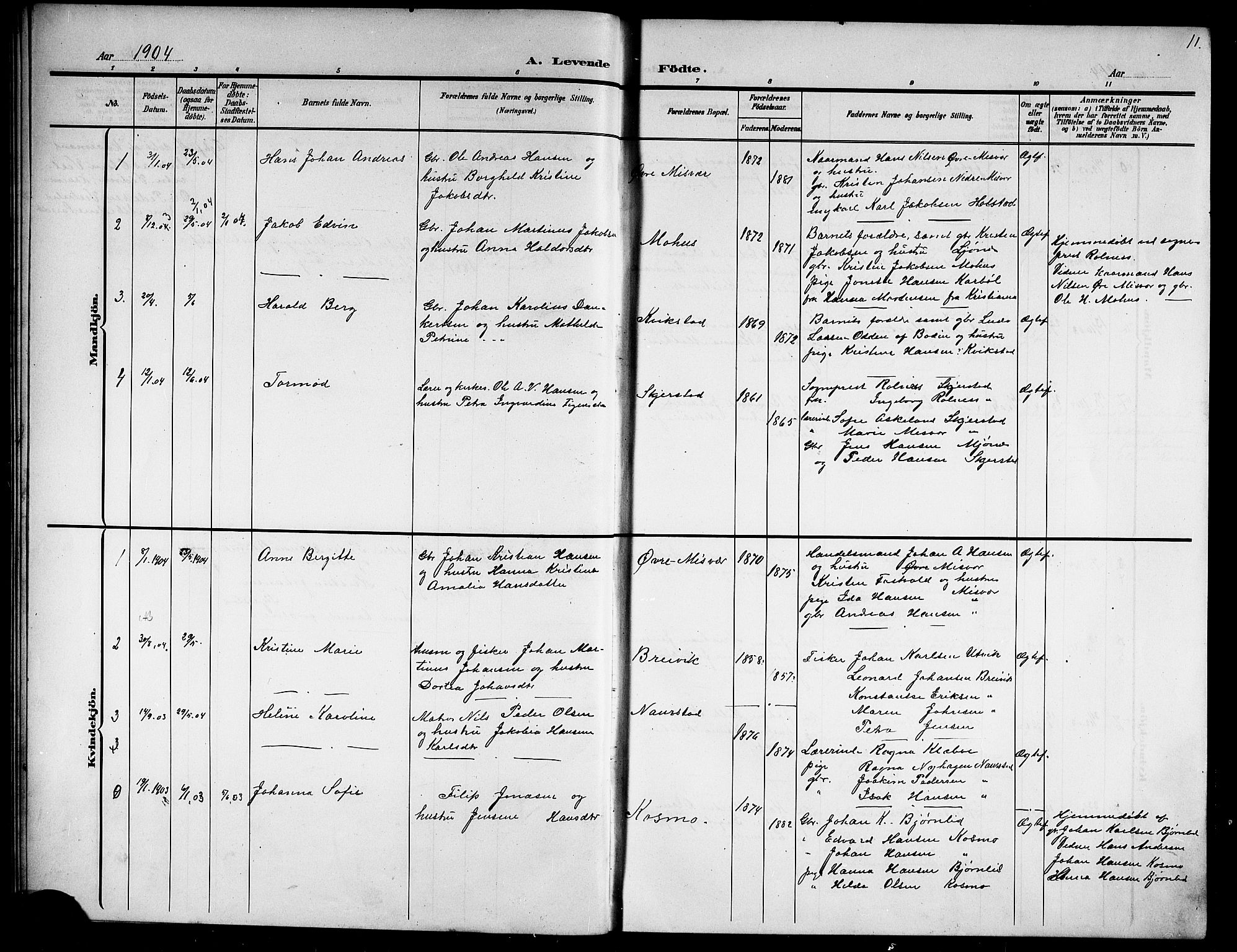 Ministerialprotokoller, klokkerbøker og fødselsregistre - Nordland, AV/SAT-A-1459/852/L0756: Parish register (copy) no. 852C07, 1902-1916, p. 11