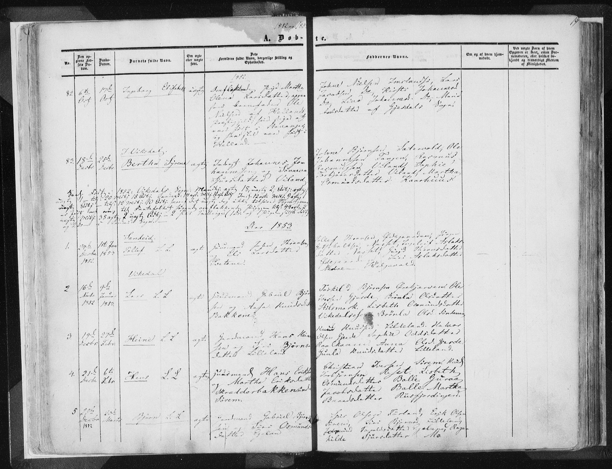 Vikedal sokneprestkontor, AV/SAST-A-101840/01/IV: Parish register (official) no. A 6.1, 1851-1867, p. 19