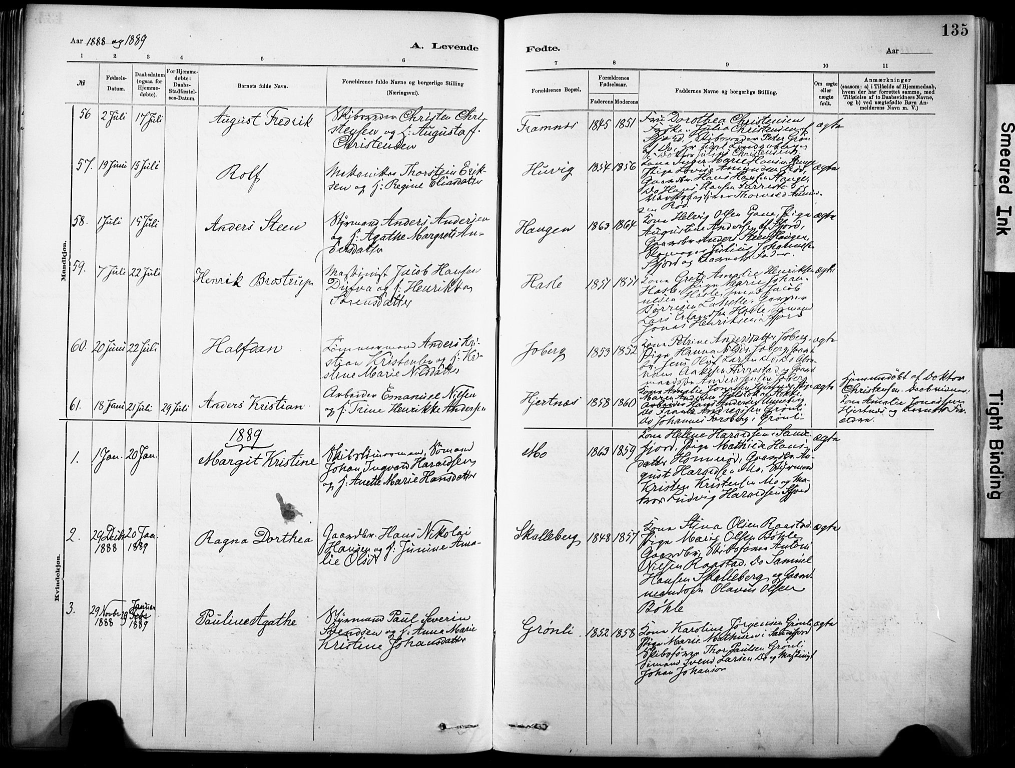 Sandar kirkebøker, SAKO/A-243/F/Fa/L0012: Parish register (official) no. 12, 1883-1895, p. 135