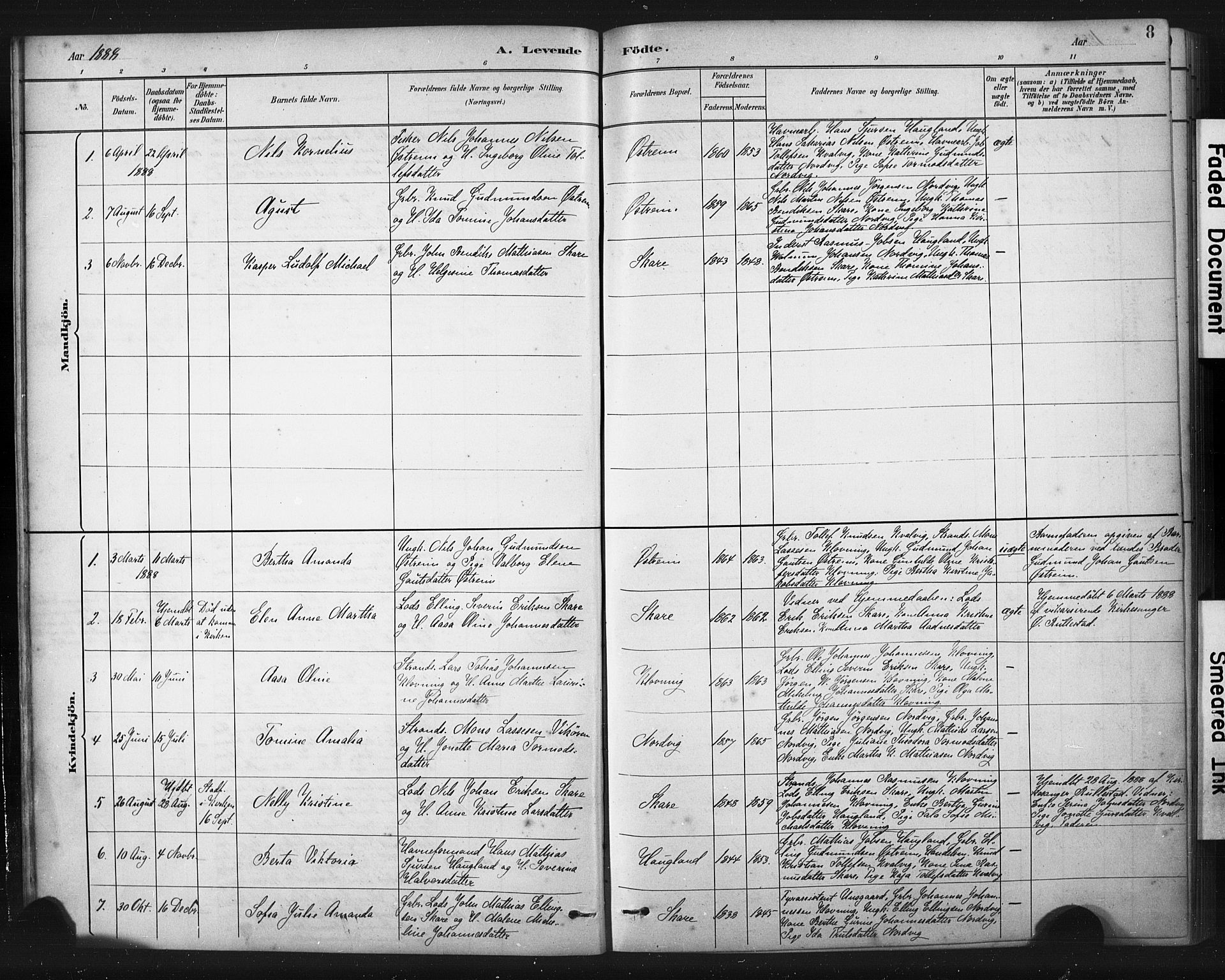 Torvastad sokneprestkontor, AV/SAST-A -101857/H/Ha/Haa/L0016: Parish register (official) no. A 15, 1883-1903, p. 8