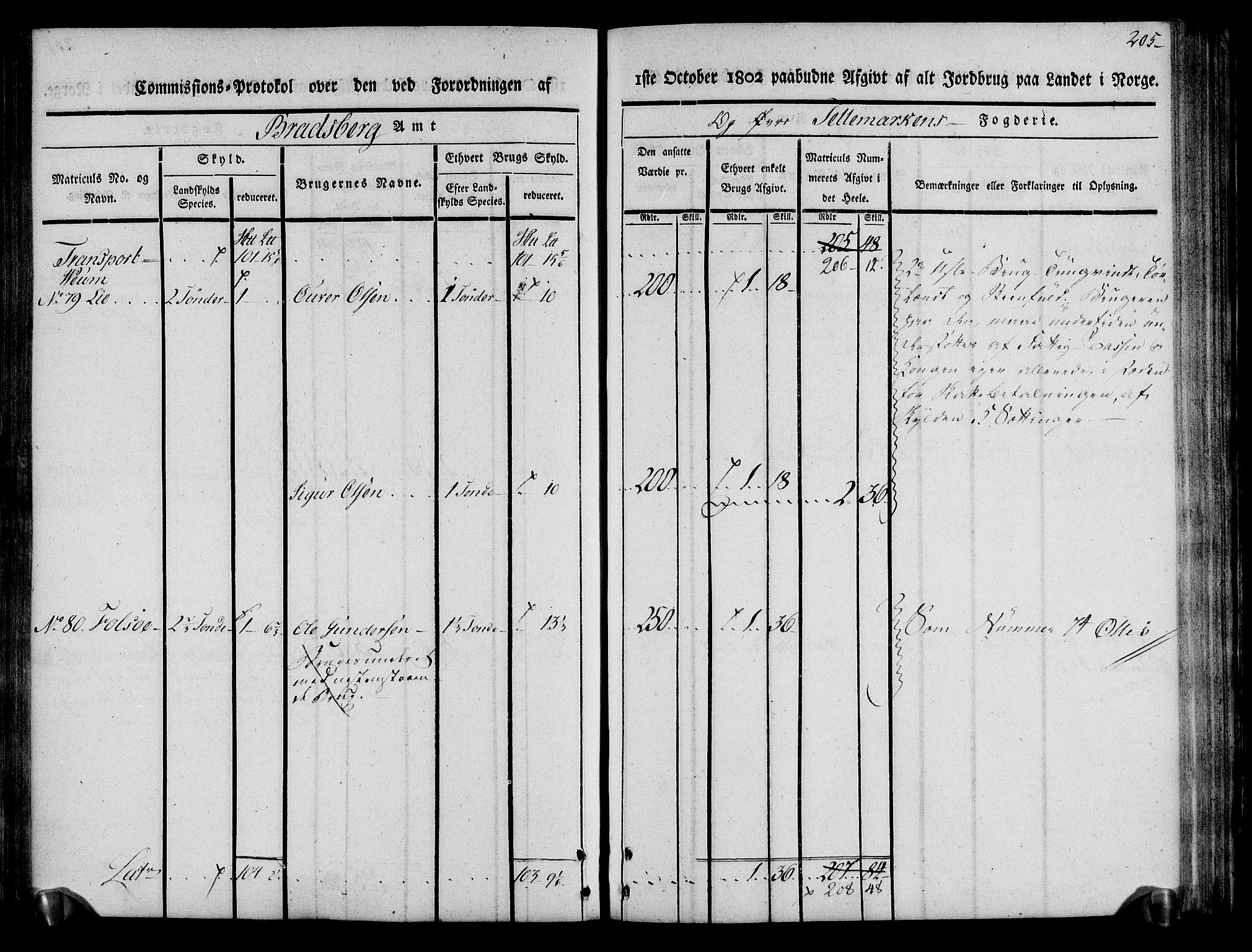 Rentekammeret inntil 1814, Realistisk ordnet avdeling, AV/RA-EA-4070/N/Ne/Nea/L0075: Øvre Telemarken fogderi. Kommisjonsprotokoll for fogderiets vestre del - Kviteseid, Vinje, Moland [):Fyresdal] og Lårdal prestegjeld., 1803, p. 207