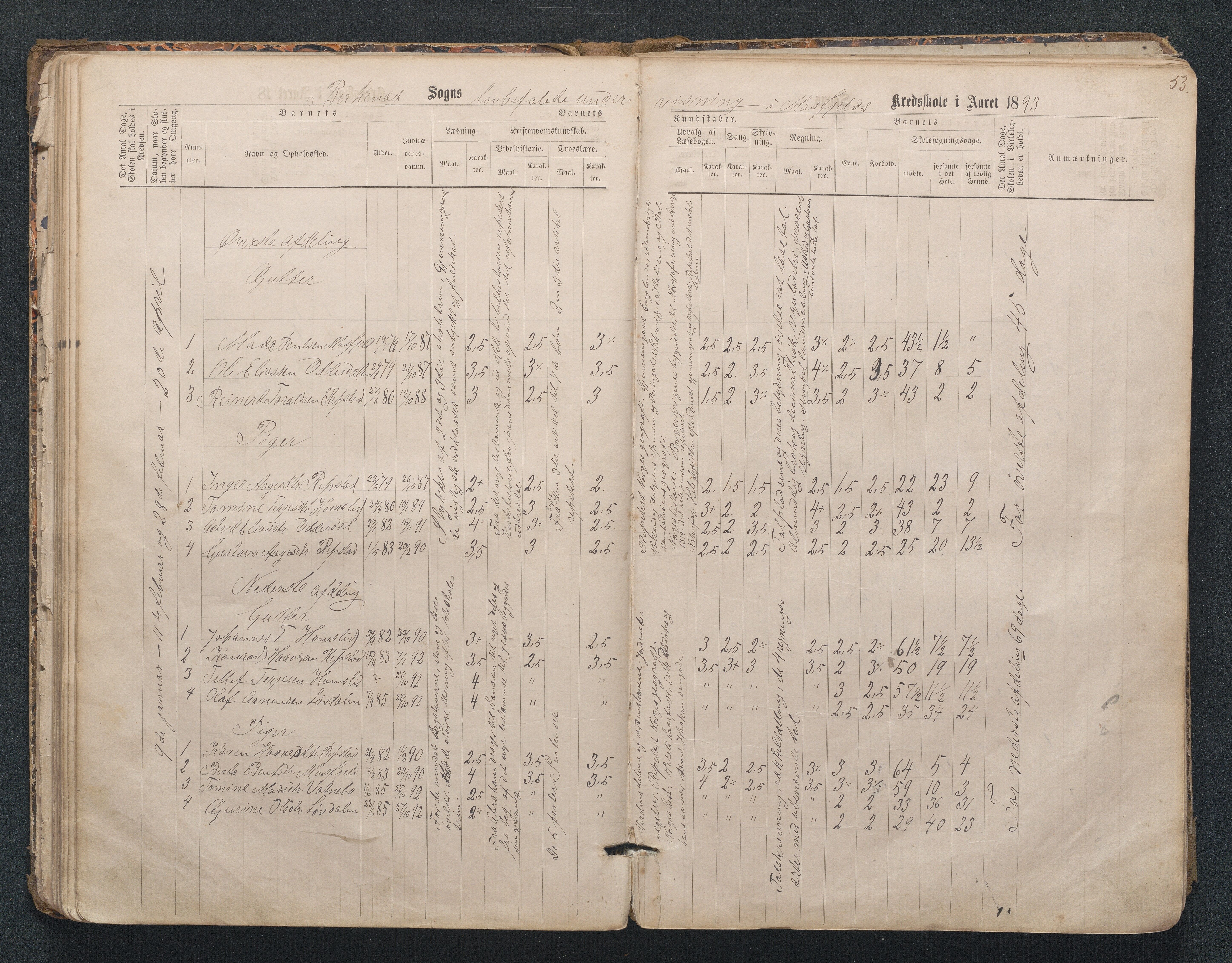 Birkenes kommune, Mosfjell skolekrets, AAKS/KA0928-550f_91/F02/L0001: Skoleprotokoll Flå og Mosfjell, 1867-1909, p. 53