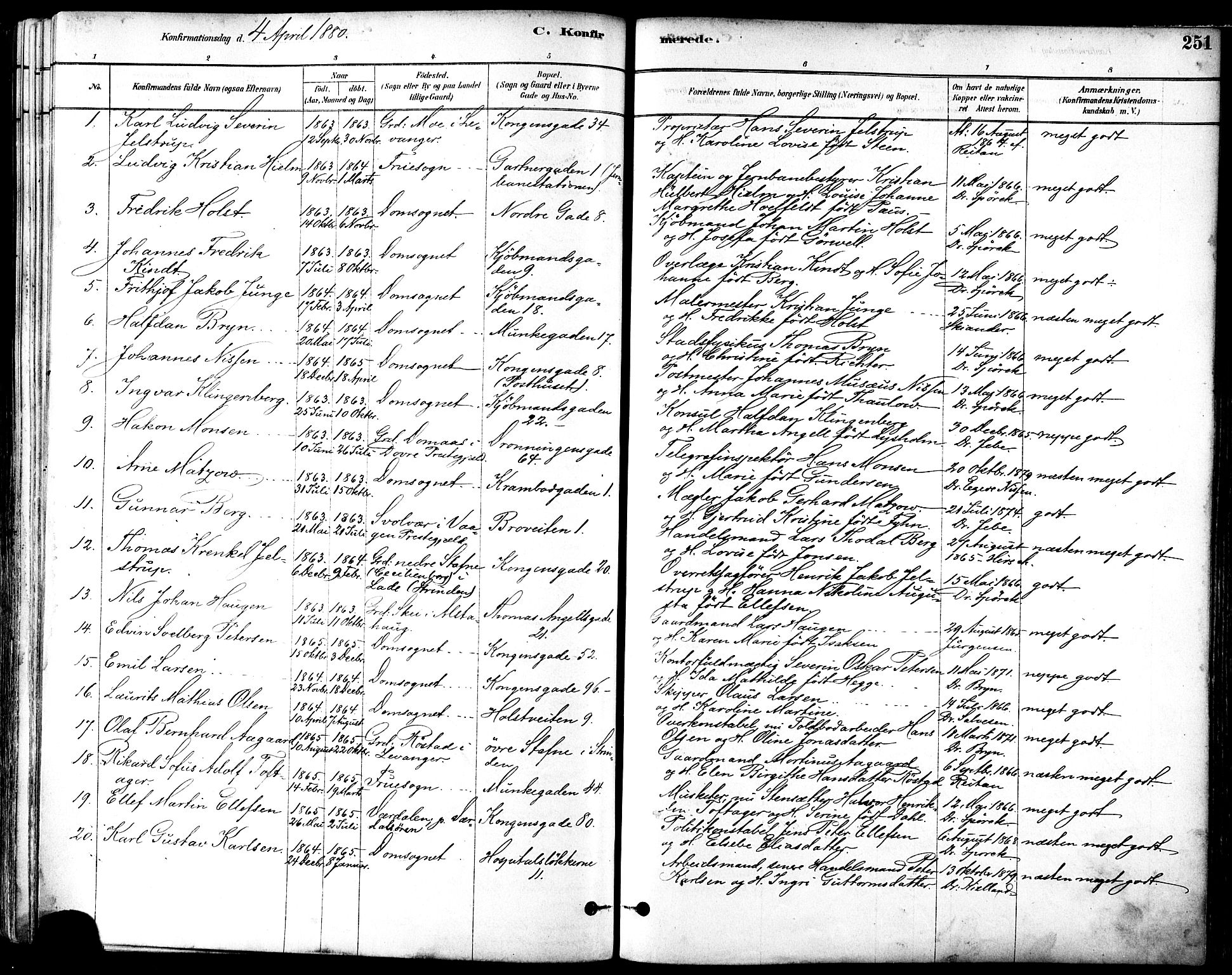 Ministerialprotokoller, klokkerbøker og fødselsregistre - Sør-Trøndelag, SAT/A-1456/601/L0057: Parish register (official) no. 601A25, 1877-1891, p. 251