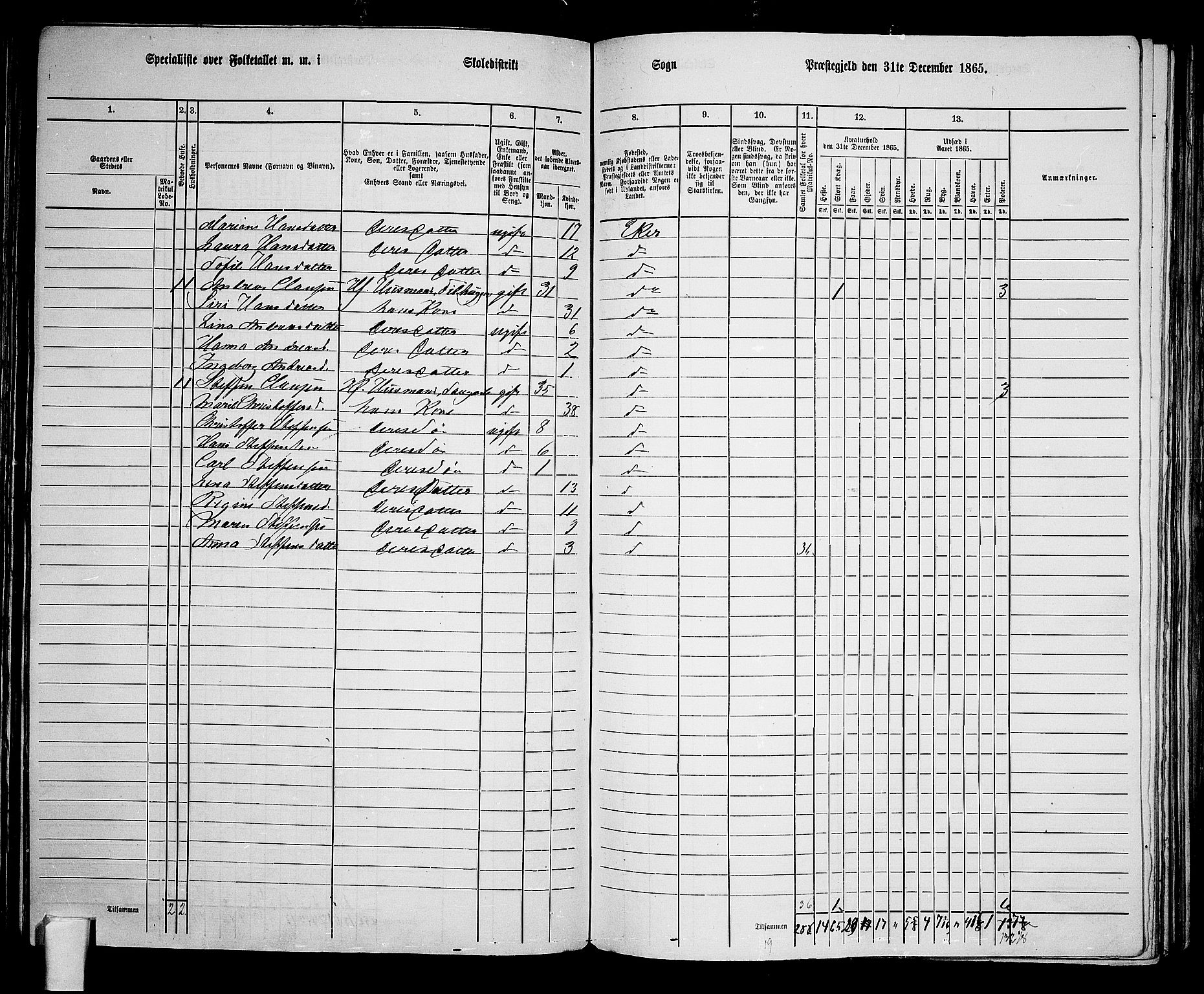 RA, 1865 census for Eiker, 1865, p. 133