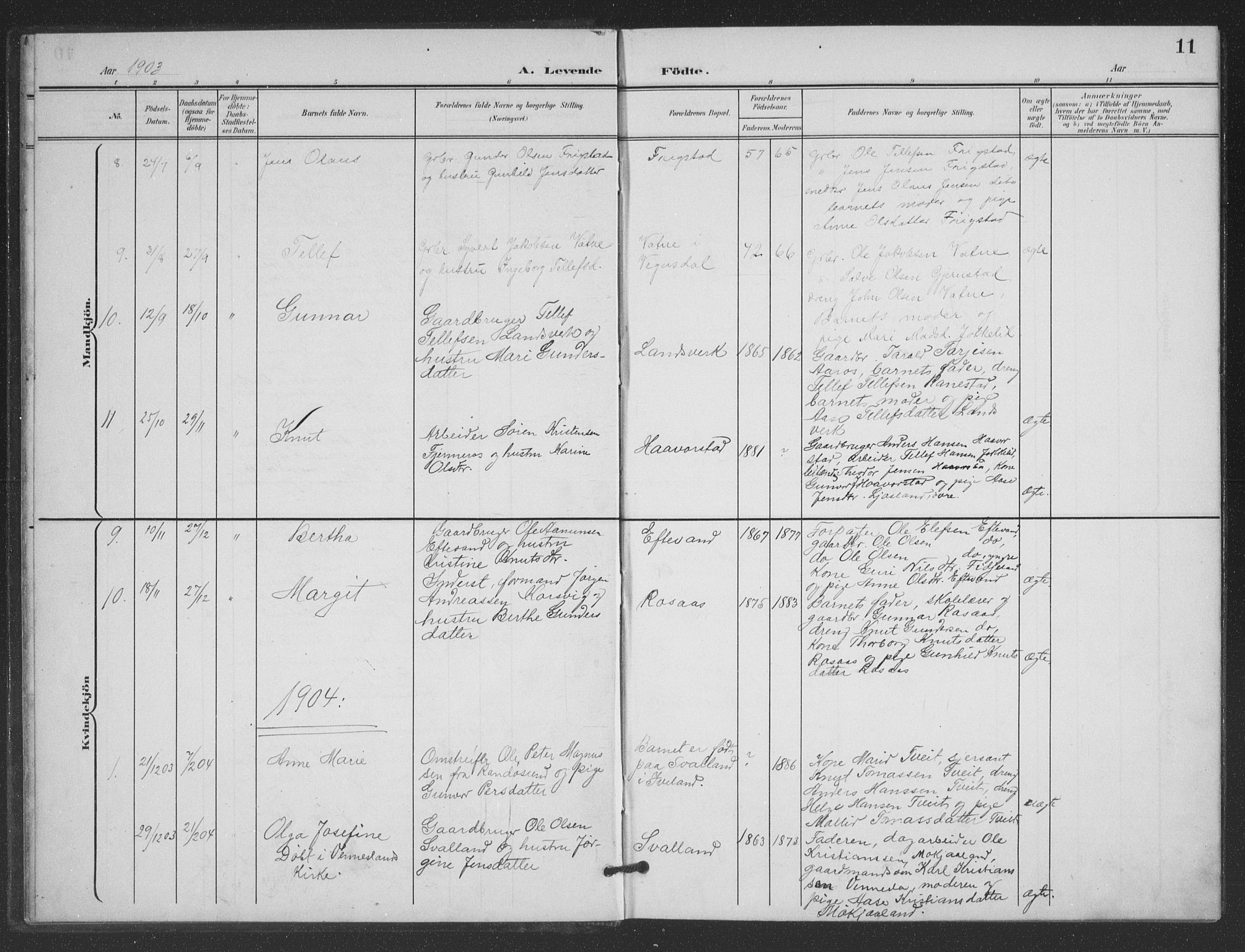 Evje sokneprestkontor, SAK/1111-0008/F/Fb/Fbc/L0005: Parish register (copy) no. B 5, 1901-1935, p. 12