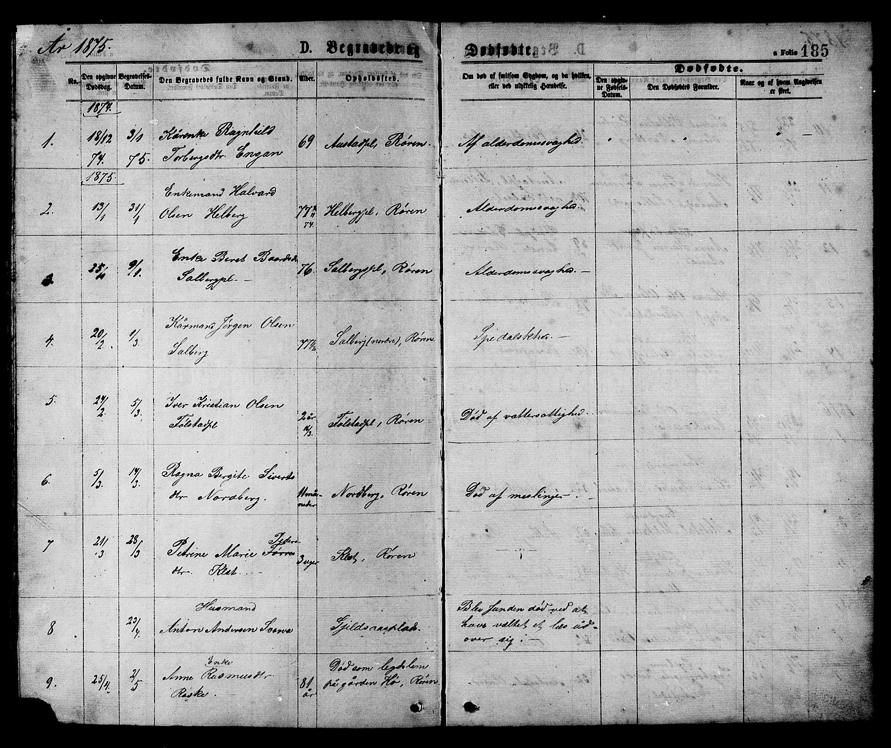 Ministerialprotokoller, klokkerbøker og fødselsregistre - Nord-Trøndelag, AV/SAT-A-1458/731/L0311: Parish register (copy) no. 731C02, 1875-1911, p. 185