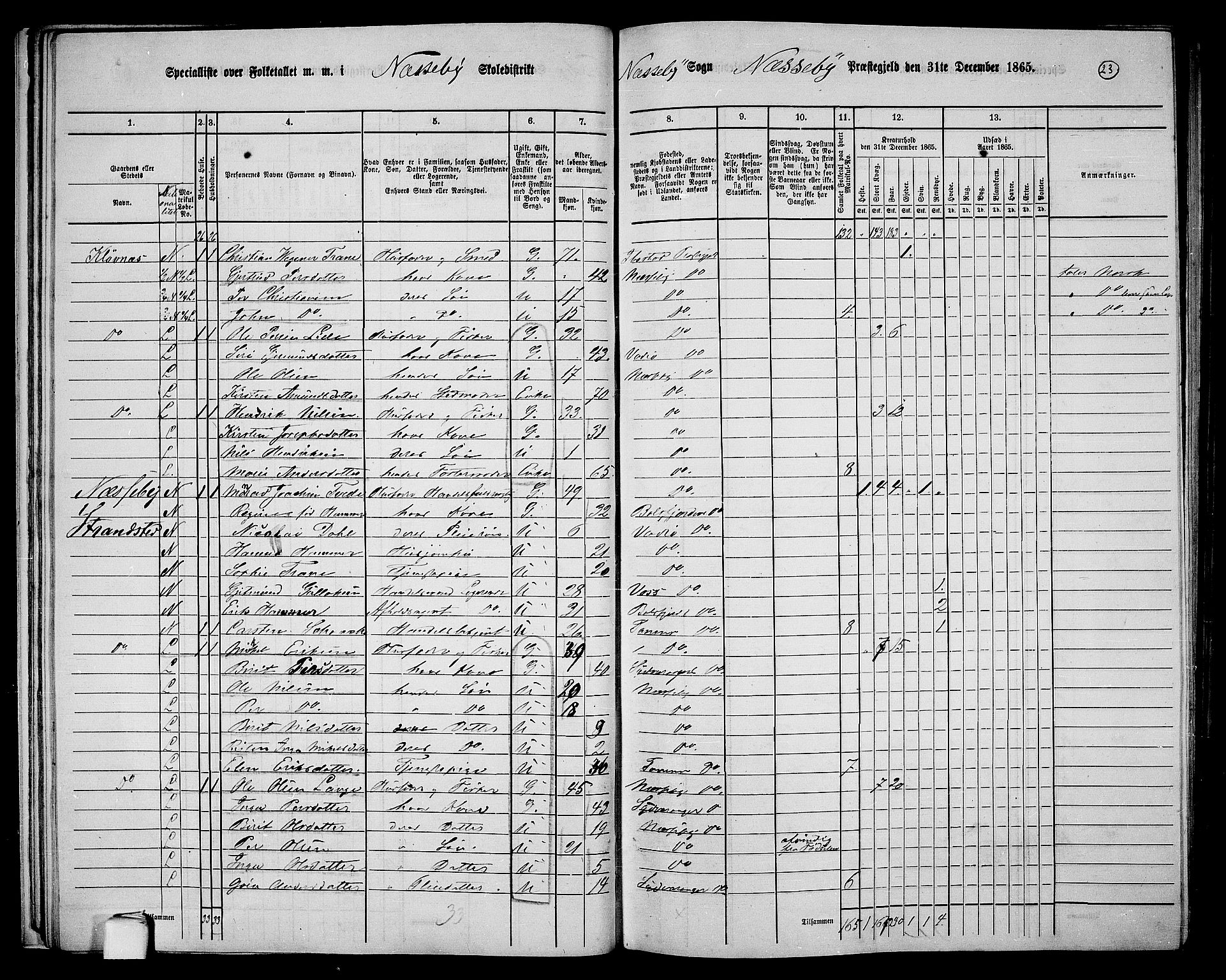 RA, 1865 census for Nesseby, 1865, p. 19