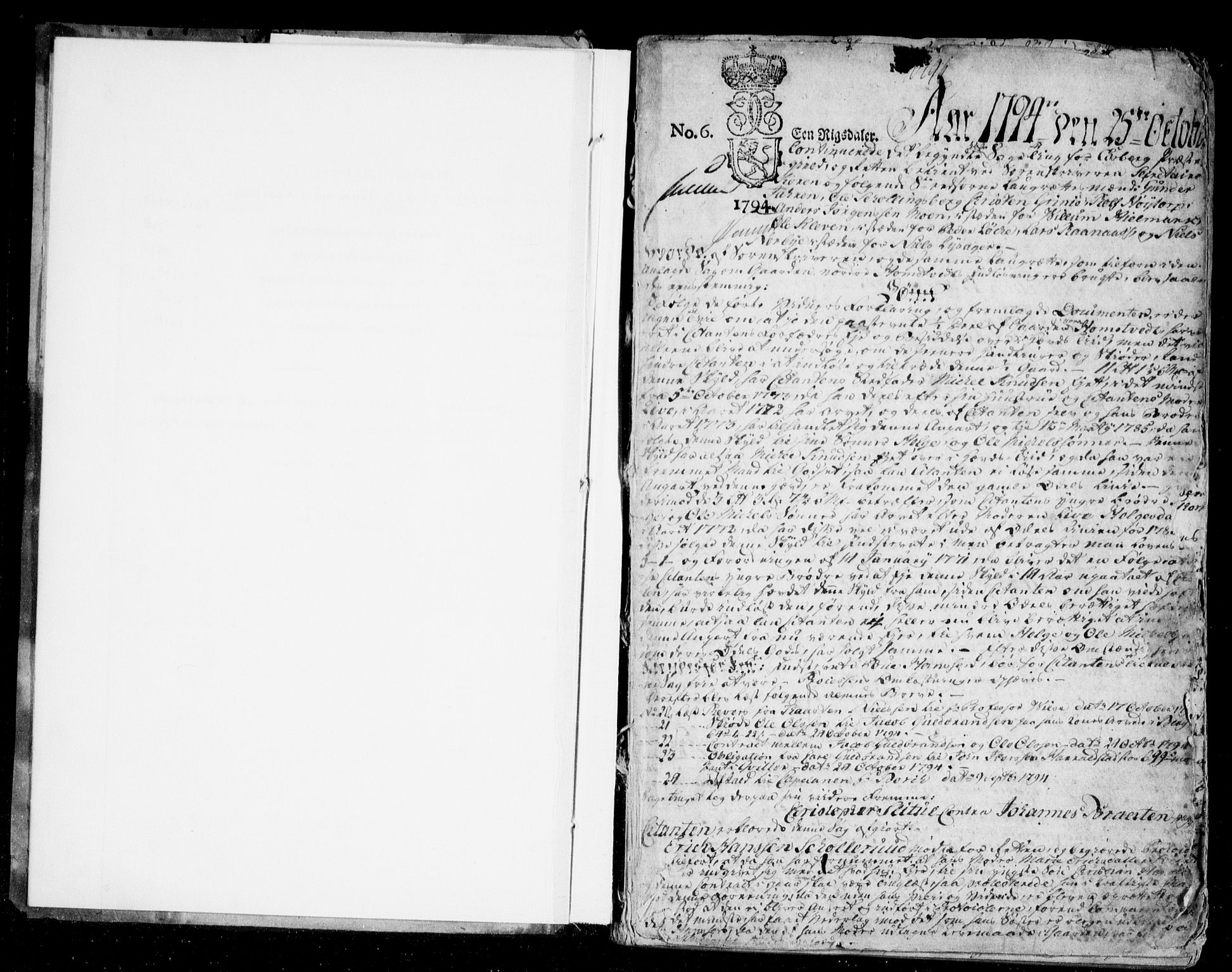Heggen og Frøland sorenskriveri I, AV/SAO-A-11556/F/Fb/L0045: Tingbok, 1794-1802, p. 0b-1a