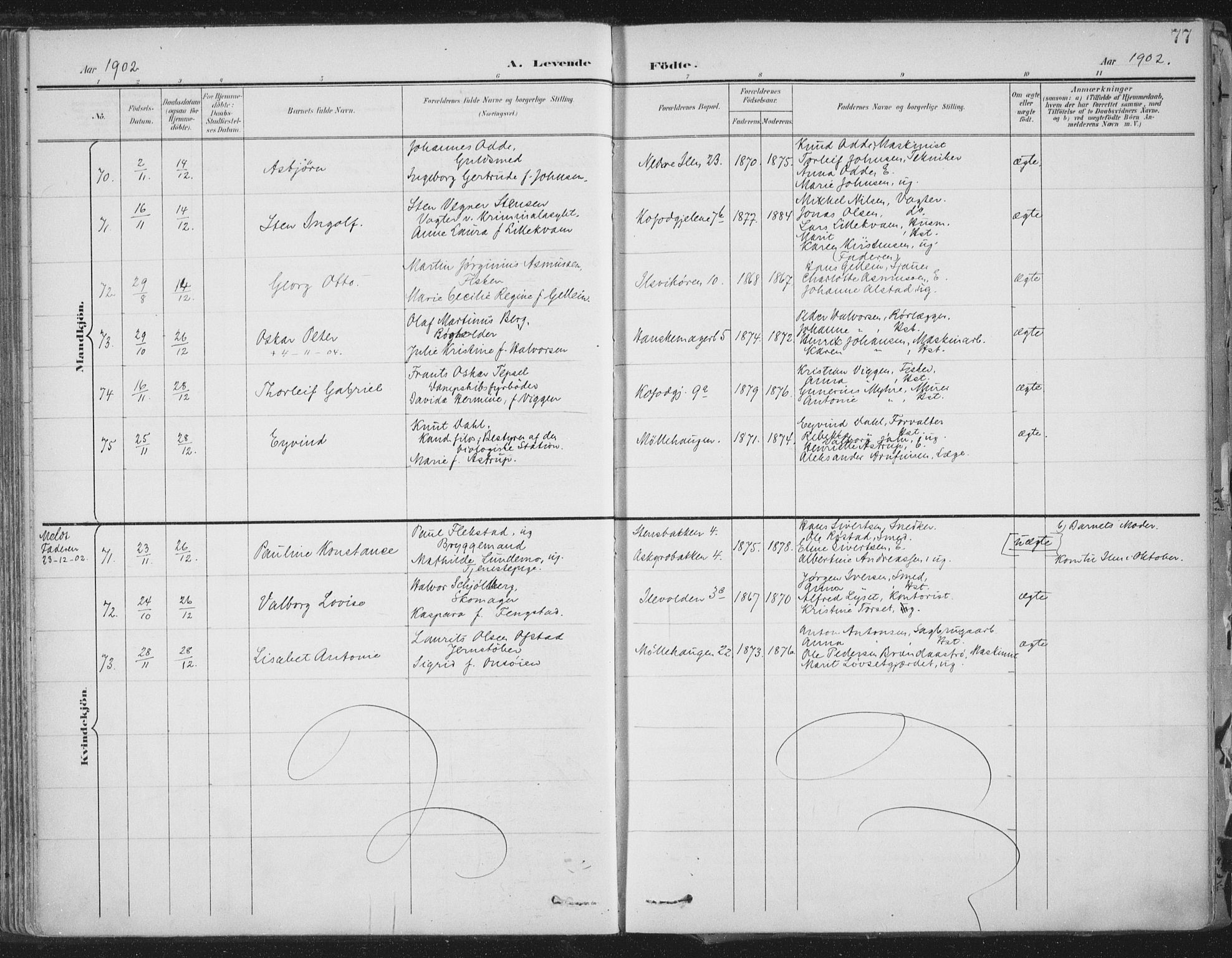 Ministerialprotokoller, klokkerbøker og fødselsregistre - Sør-Trøndelag, SAT/A-1456/603/L0167: Parish register (official) no. 603A06, 1896-1932, p. 77