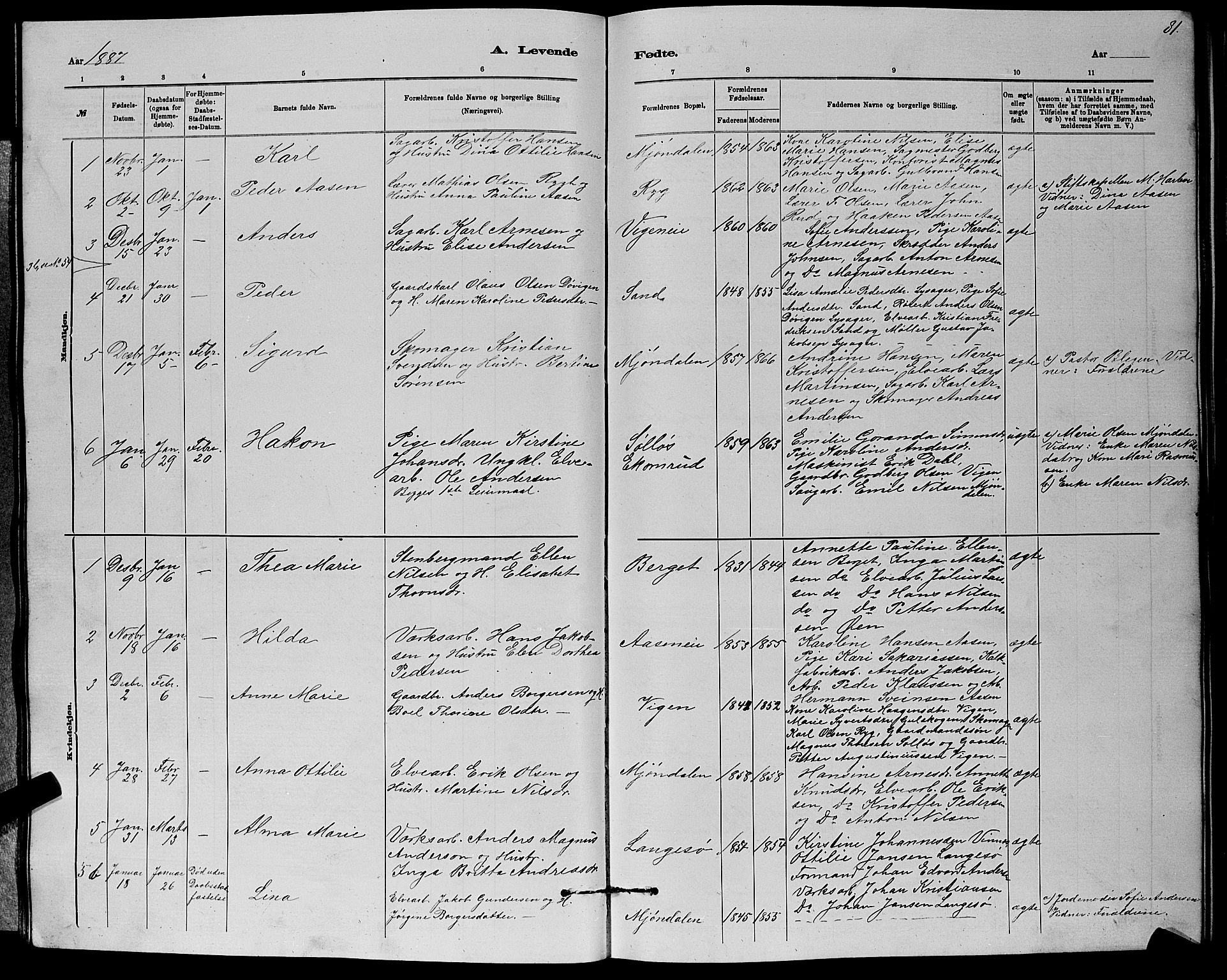 Nedre Eiker kirkebøker, AV/SAKO-A-612/G/Ga/L0002: Parish register (copy) no. 2, 1880-1896, p. 81