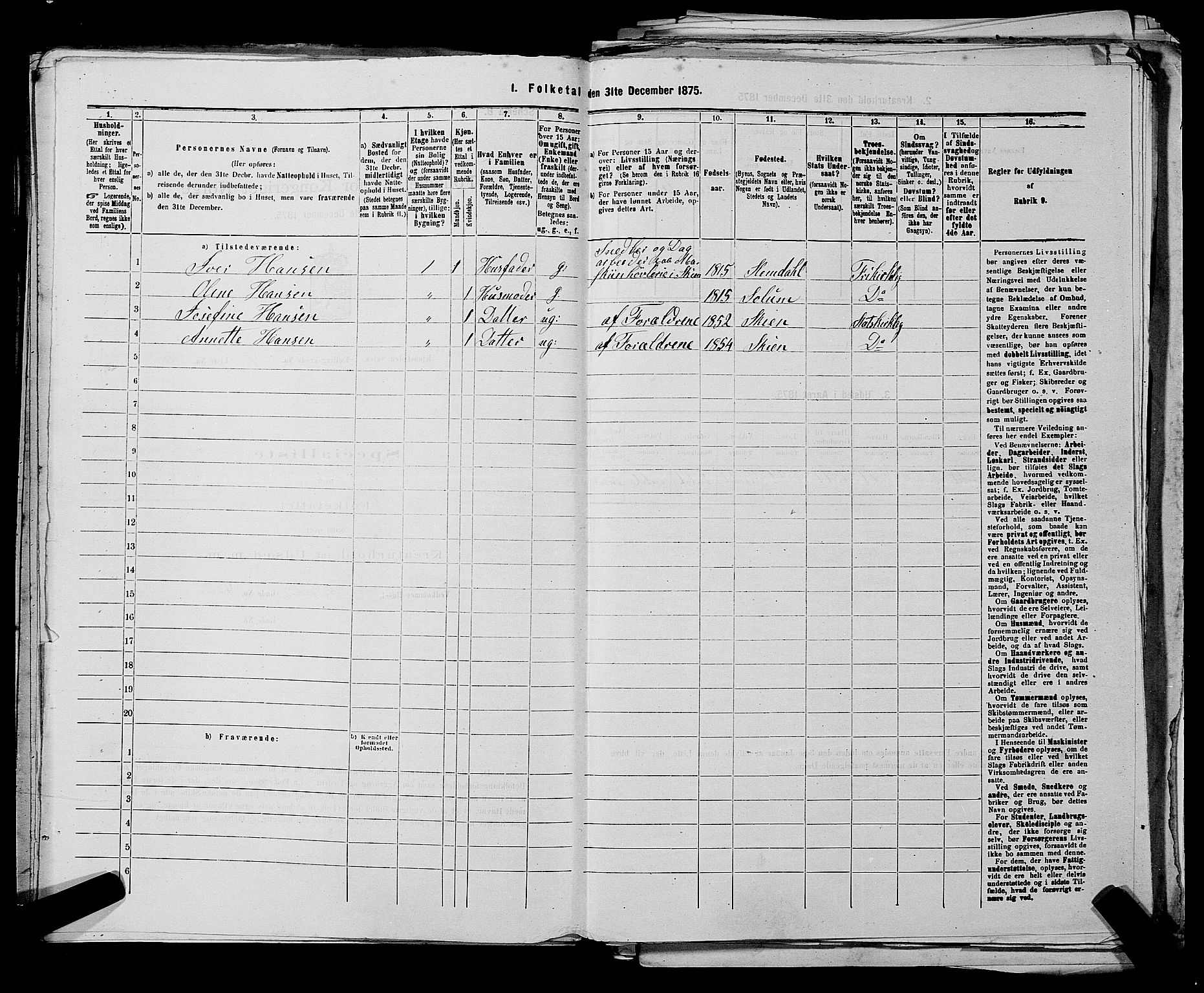SAKO, 1875 census for 0806P Skien, 1875, p. 782