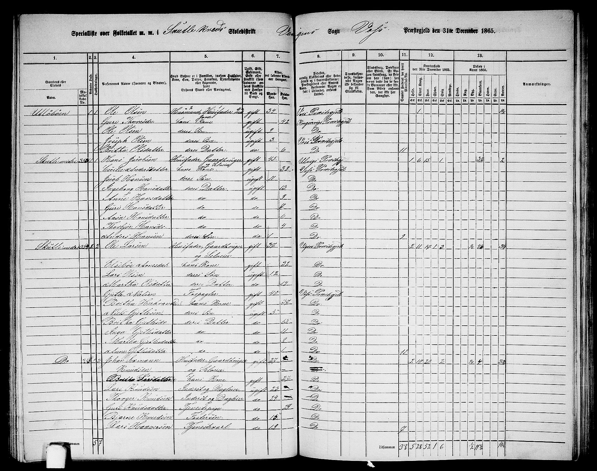 RA, 1865 census for Voss, 1865, p. 164