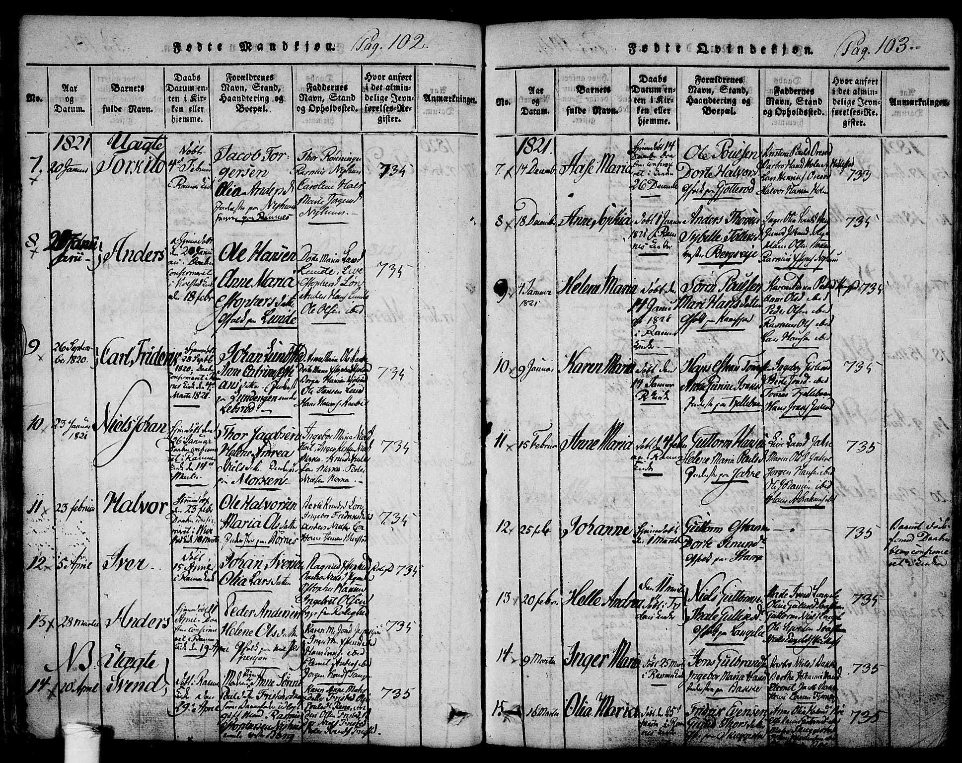 Ramnes kirkebøker, AV/SAKO-A-314/F/Fa/L0004: Parish register (official) no. I 4, 1813-1840, p. 102-103