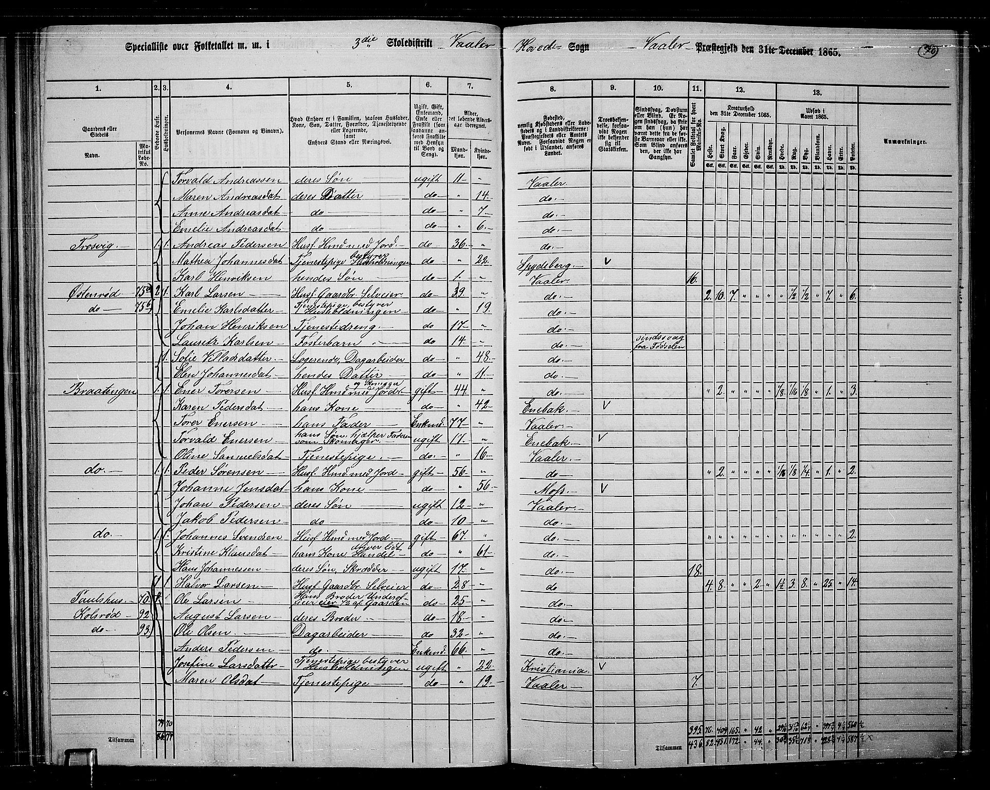 RA, 1865 census for Våler, 1865, p. 65