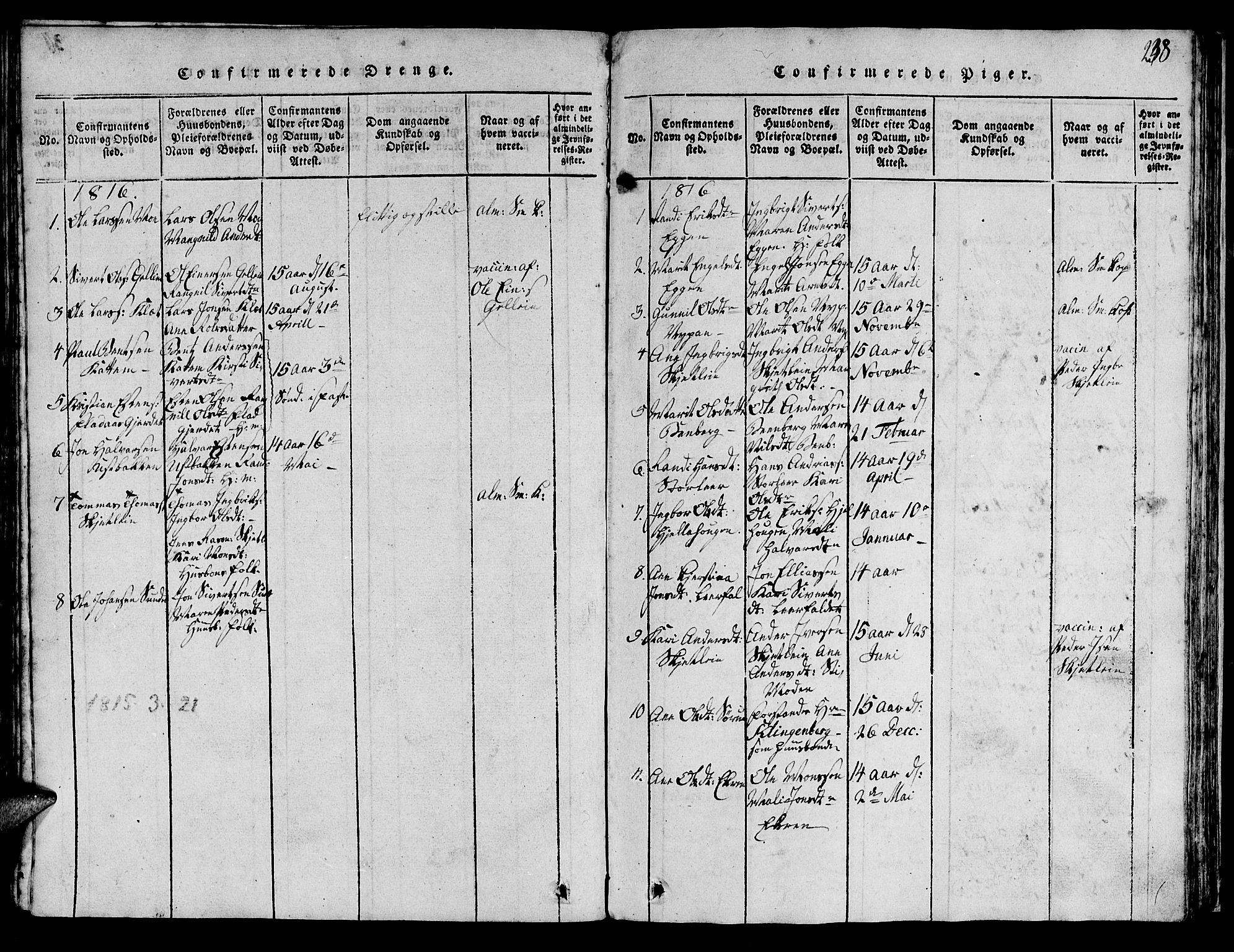 Ministerialprotokoller, klokkerbøker og fødselsregistre - Sør-Trøndelag, AV/SAT-A-1456/613/L0393: Parish register (copy) no. 613C01, 1816-1886, p. 238