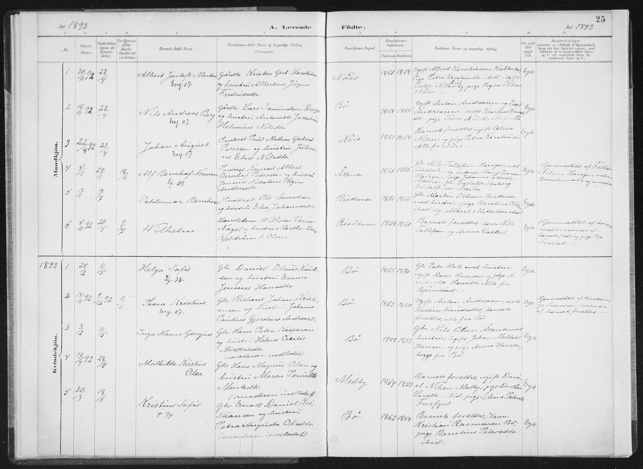 Ministerialprotokoller, klokkerbøker og fødselsregistre - Nordland, SAT/A-1459/898/L1422: Parish register (official) no. 898A02, 1887-1908, p. 25