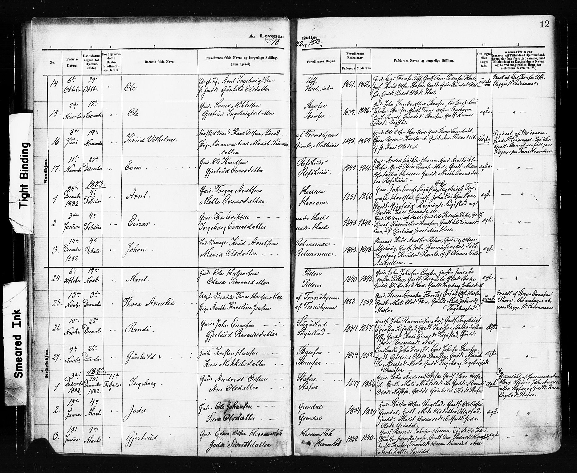 Ministerialprotokoller, klokkerbøker og fødselsregistre - Sør-Trøndelag, SAT/A-1456/674/L0871: Parish register (official) no. 674A03, 1880-1896, p. 12