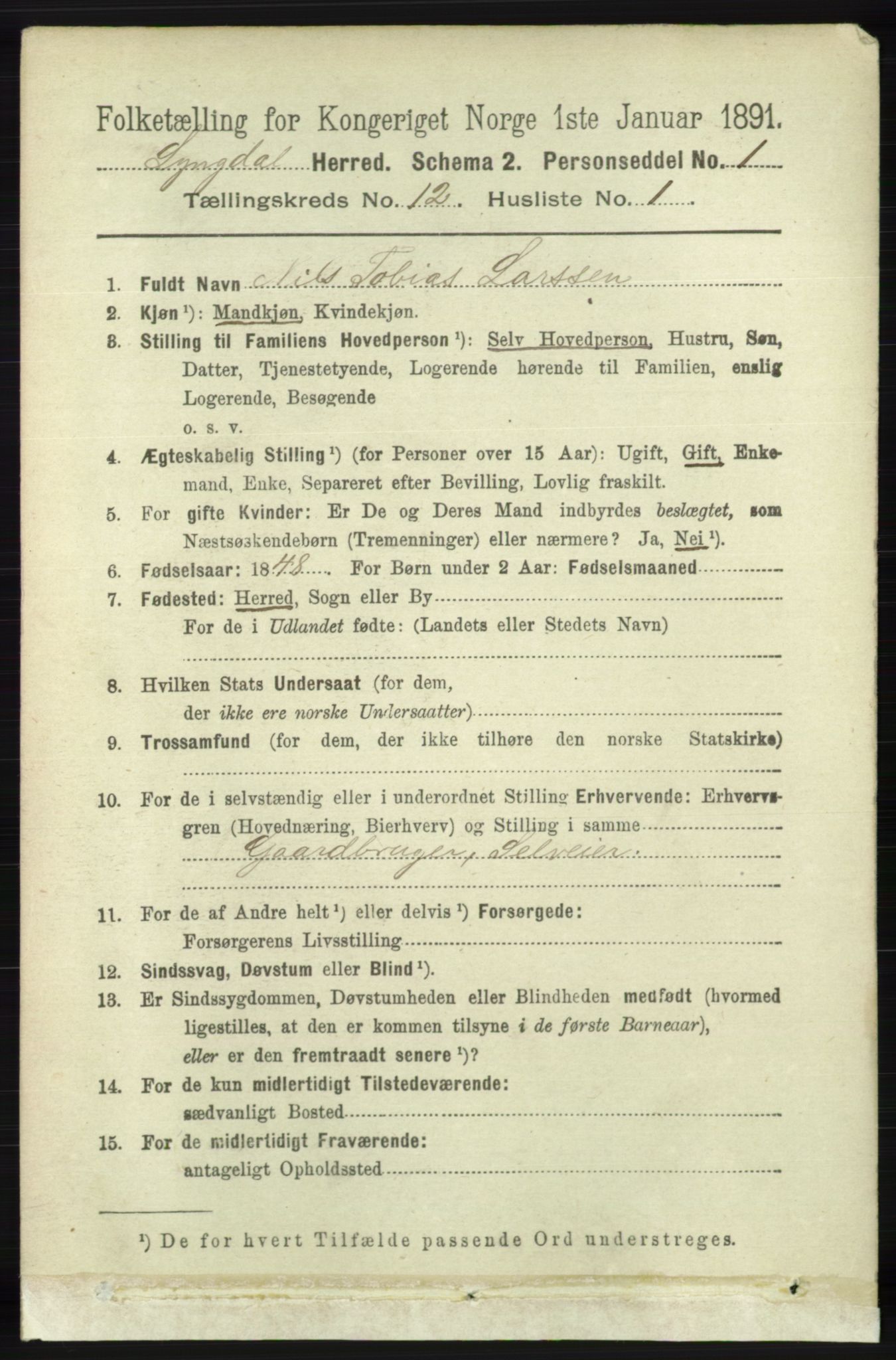 RA, 1891 census for 1032 Lyngdal, 1891, p. 5257