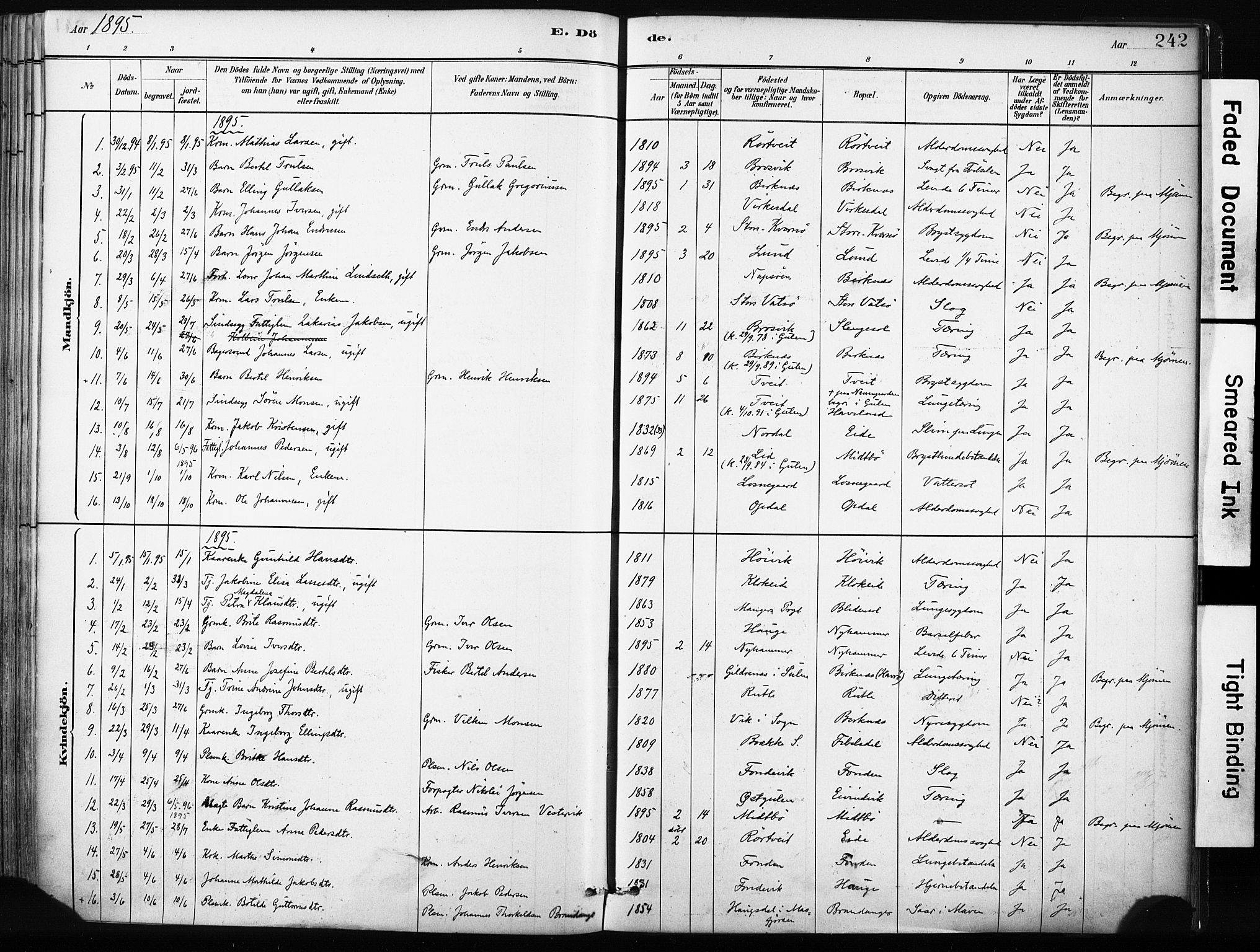 Gulen sokneprestembete, SAB/A-80201/H/Haa/Haab/L0001: Parish register (official) no. B 1, 1881-1905, p. 242