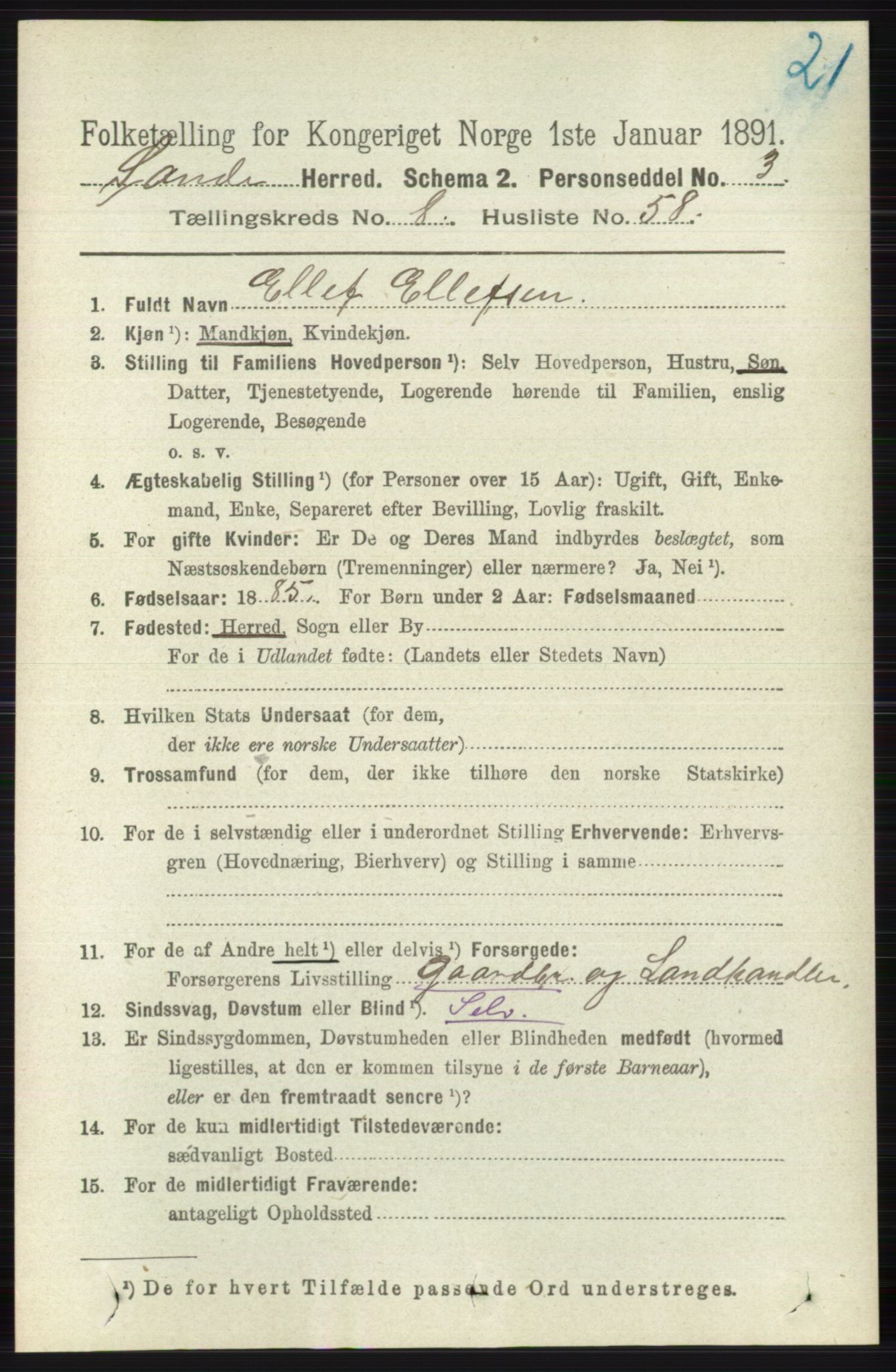 RA, 1891 census for 0713 Sande, 1891, p. 3827