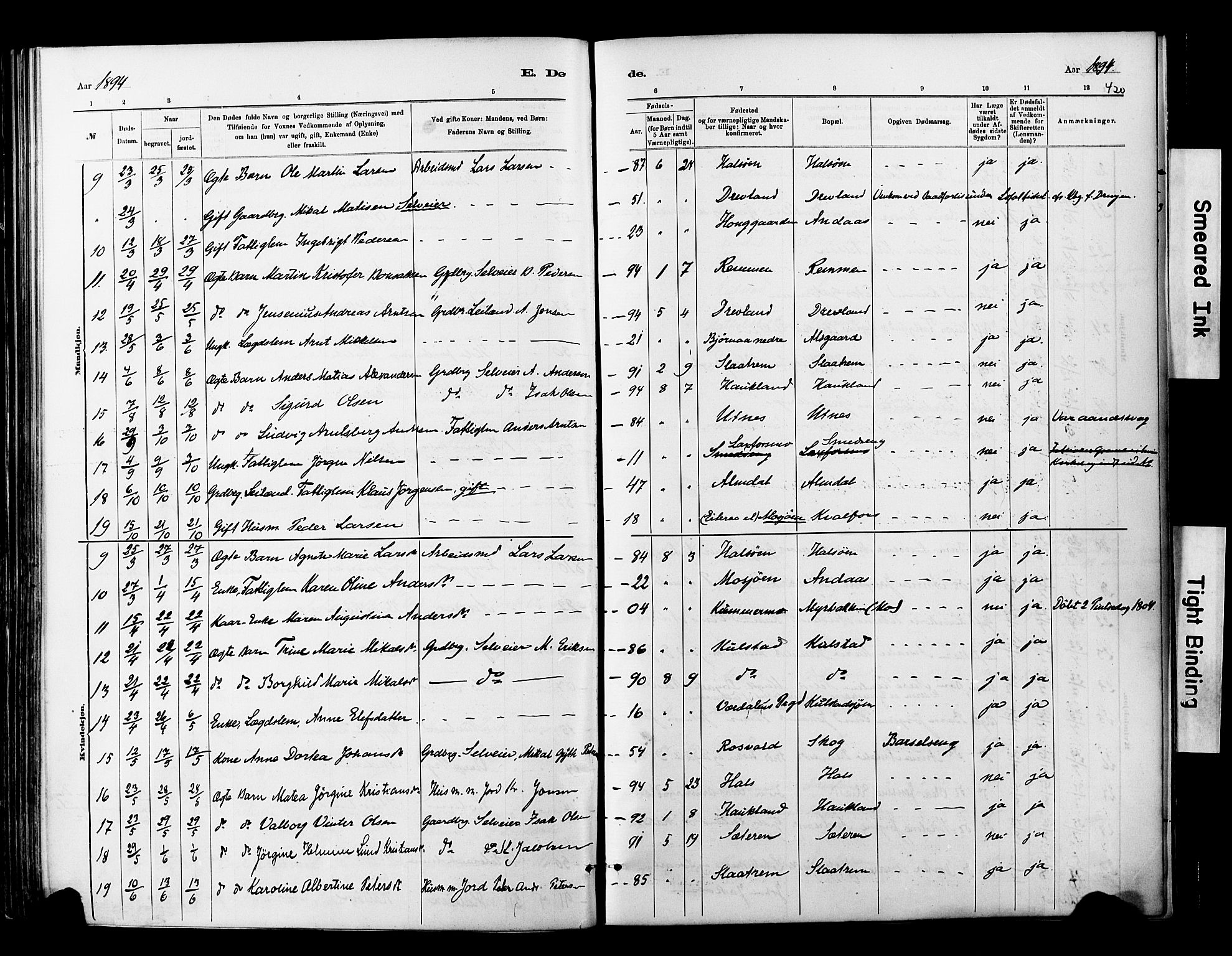 Ministerialprotokoller, klokkerbøker og fødselsregistre - Nordland, SAT/A-1459/820/L0295: Parish register (official) no. 820A16, 1880-1896, p. 420