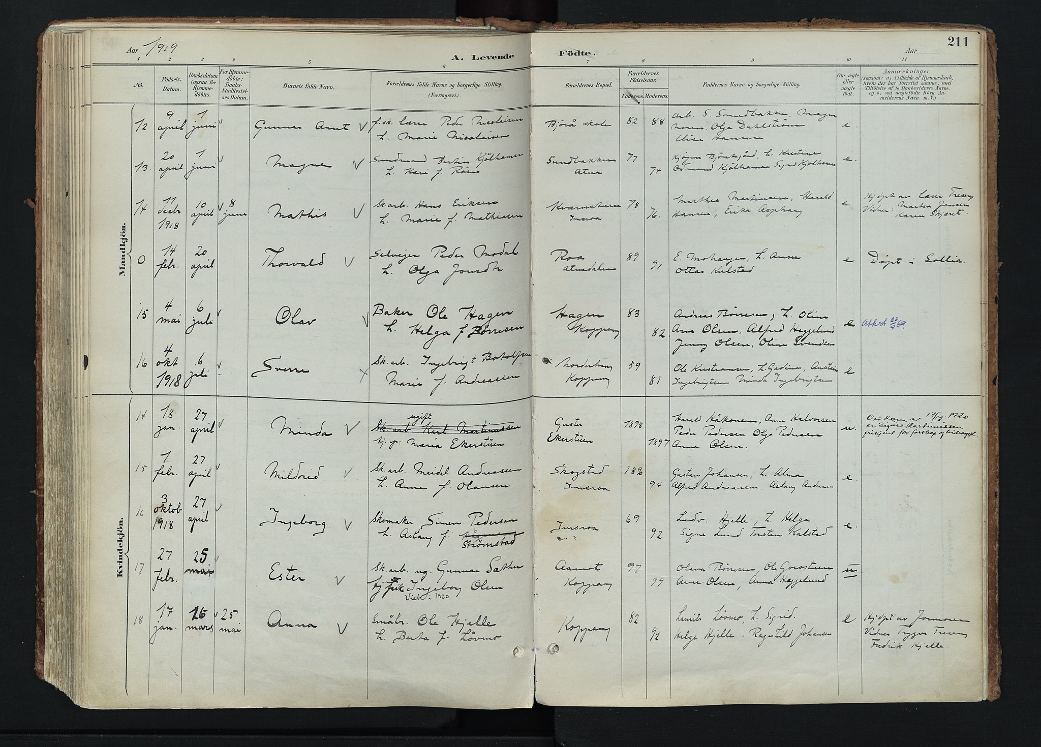 Stor-Elvdal prestekontor, AV/SAH-PREST-052/H/Ha/Haa/L0004: Parish register (official) no. 4, 1890-1922, p. 211