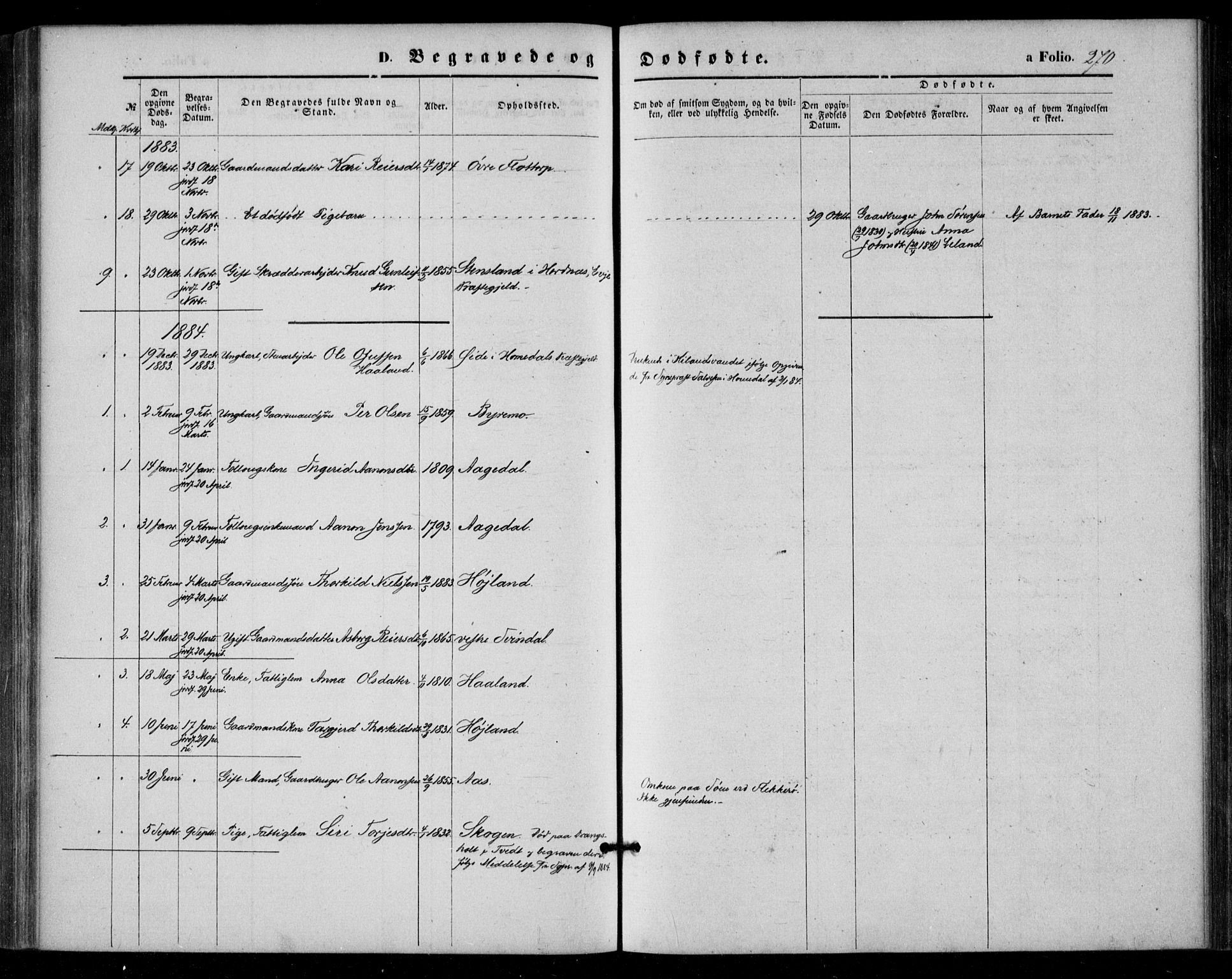 Bjelland sokneprestkontor, SAK/1111-0005/F/Fa/Fac/L0002: Parish register (official) no. A 2, 1866-1887, p. 270