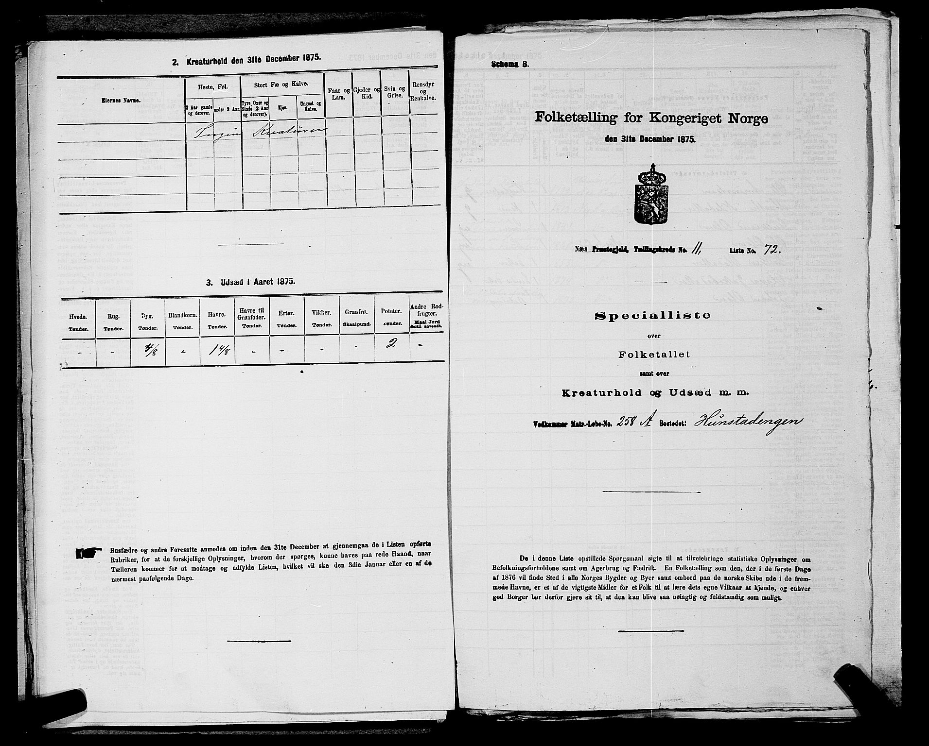 RA, 1875 census for 0236P Nes, 1875, p. 2033