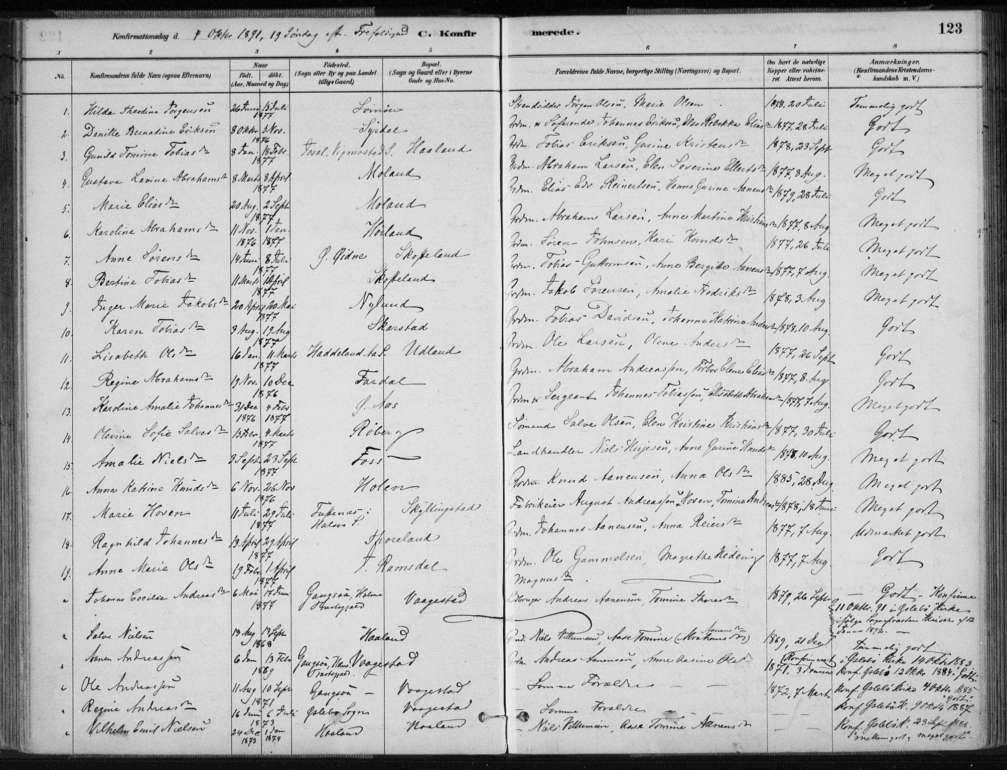 Sør-Audnedal sokneprestkontor, AV/SAK-1111-0039/F/Fa/Fab/L0009: Parish register (official) no. A 9, 1880-1895, p. 123