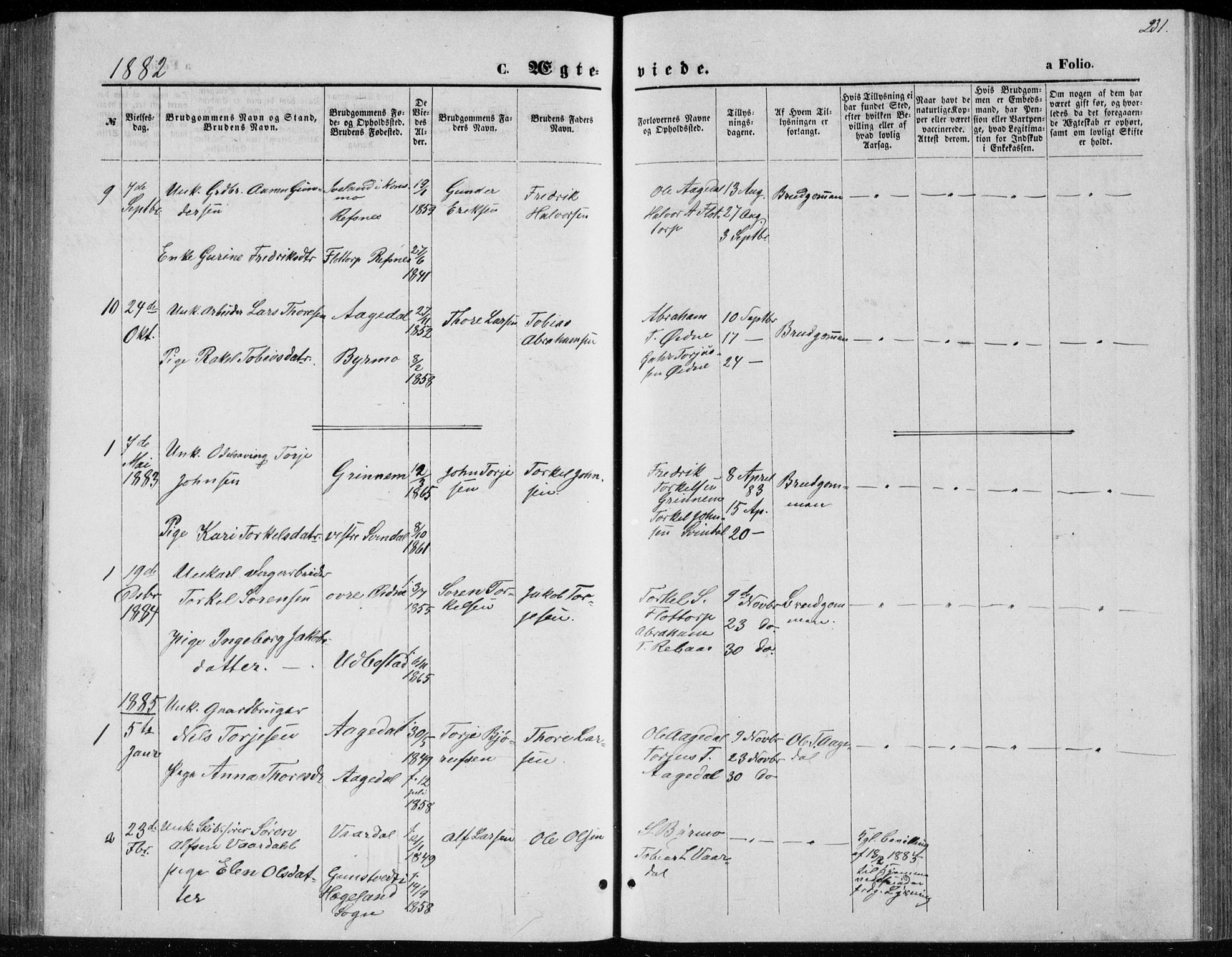 Bjelland sokneprestkontor, AV/SAK-1111-0005/F/Fb/Fbc/L0002: Parish register (copy) no. B 2, 1867-1887, p. 231