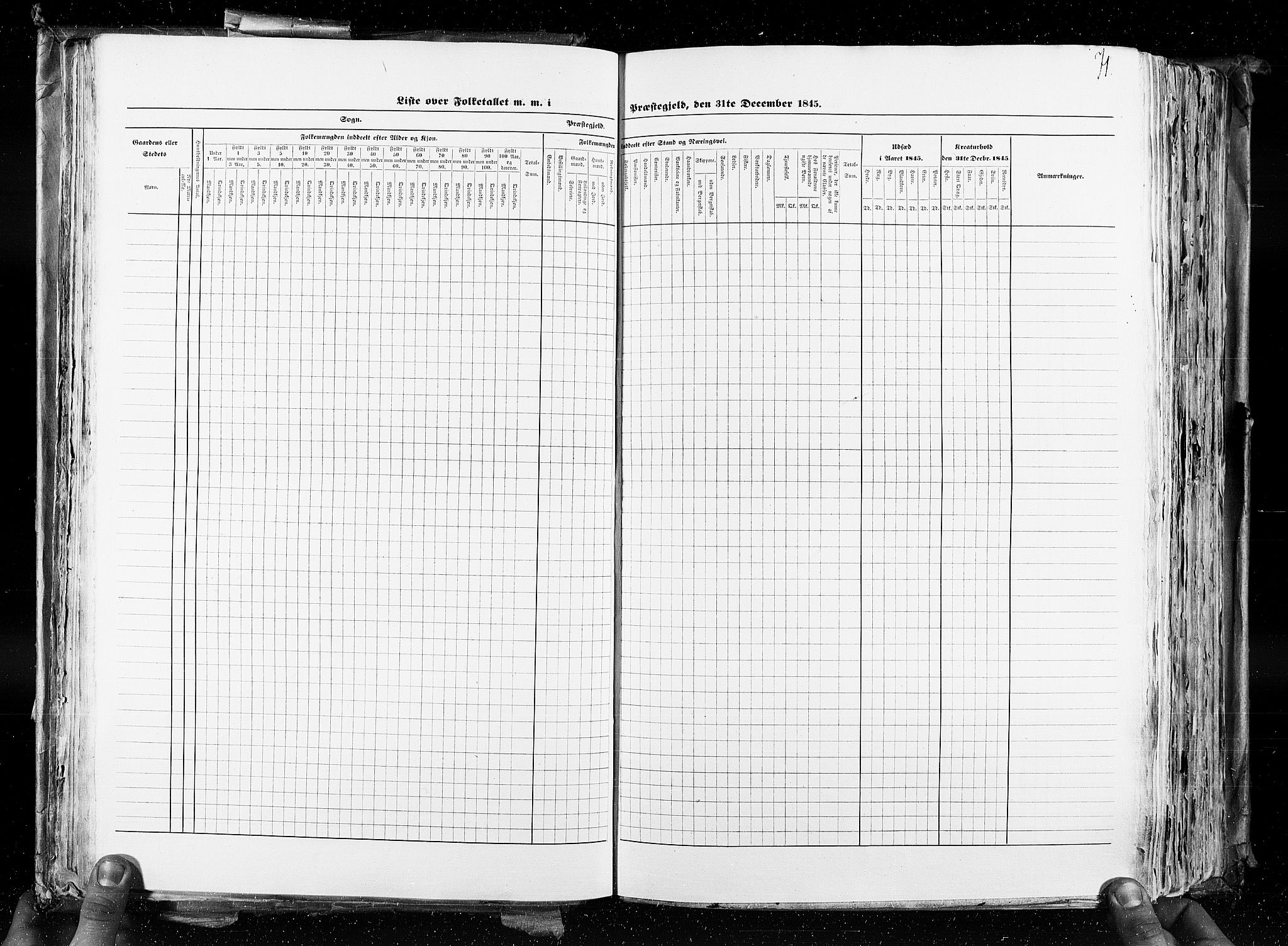 RA, Census 1845, vol. 4: Buskerud amt og Jarlsberg og Larvik amt, 1845, p. 71