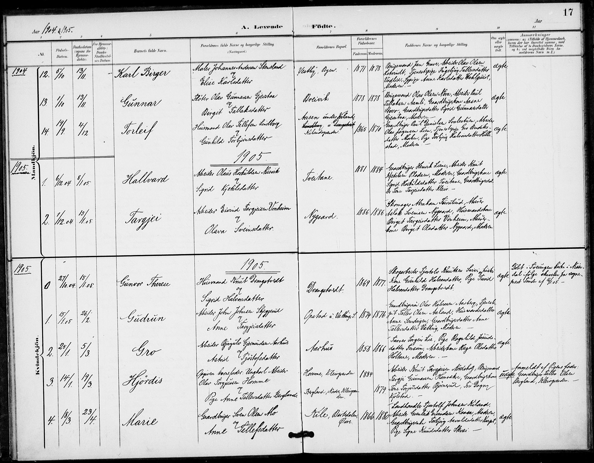 Fyresdal kirkebøker, AV/SAKO-A-263/F/Fa/L0008: Parish register (official) no. I 8, 1899-1914, p. 17