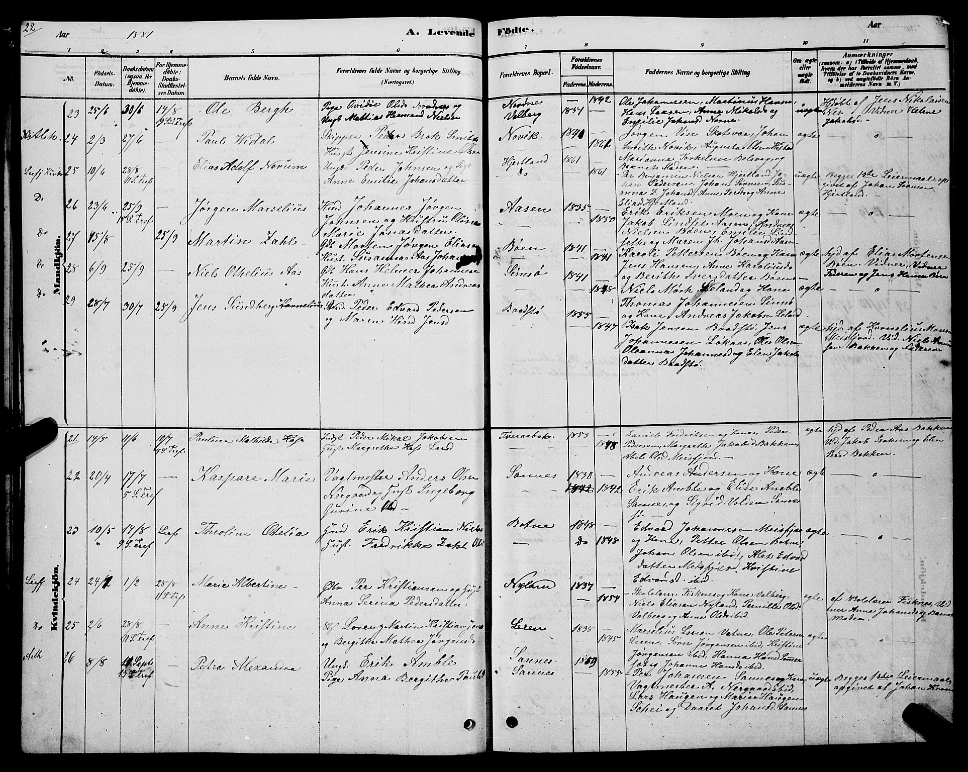 Ministerialprotokoller, klokkerbøker og fødselsregistre - Nordland, AV/SAT-A-1459/831/L0477: Parish register (copy) no. 831C04, 1878-1897, p. 22