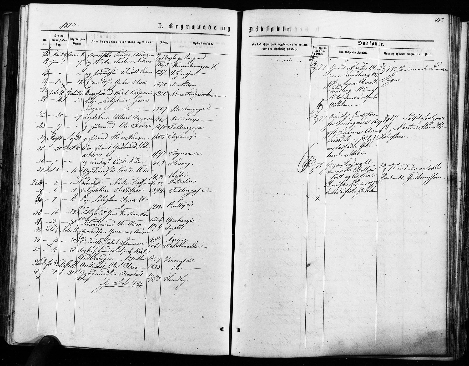 Nes prestekontor Kirkebøker, AV/SAO-A-10410/F/Fa/L0009: Parish register (official) no. I 9, 1875-1882, p. 487