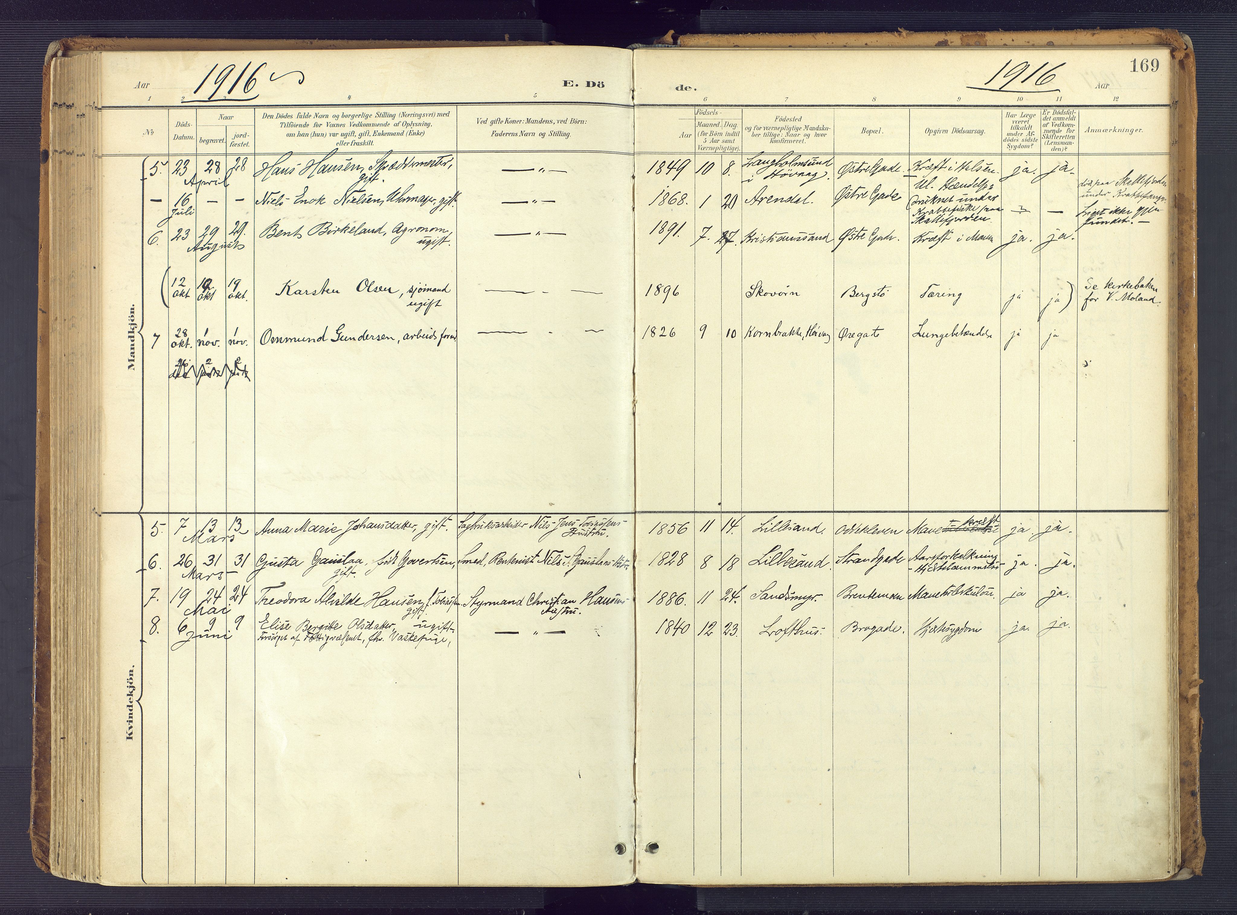 Vestre Moland sokneprestkontor, AV/SAK-1111-0046/F/Fa/Faa/L0002: Parish register (official) no. A 2, 1900-1926, p. 169