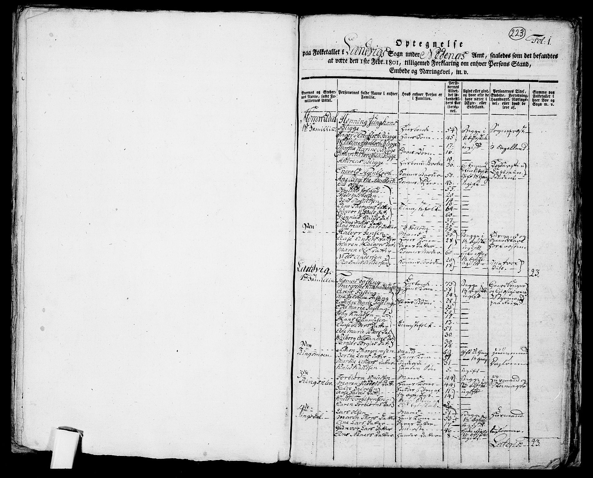 RA, 1801 census for 0924P Homedal, 1801, p. 222b-223a