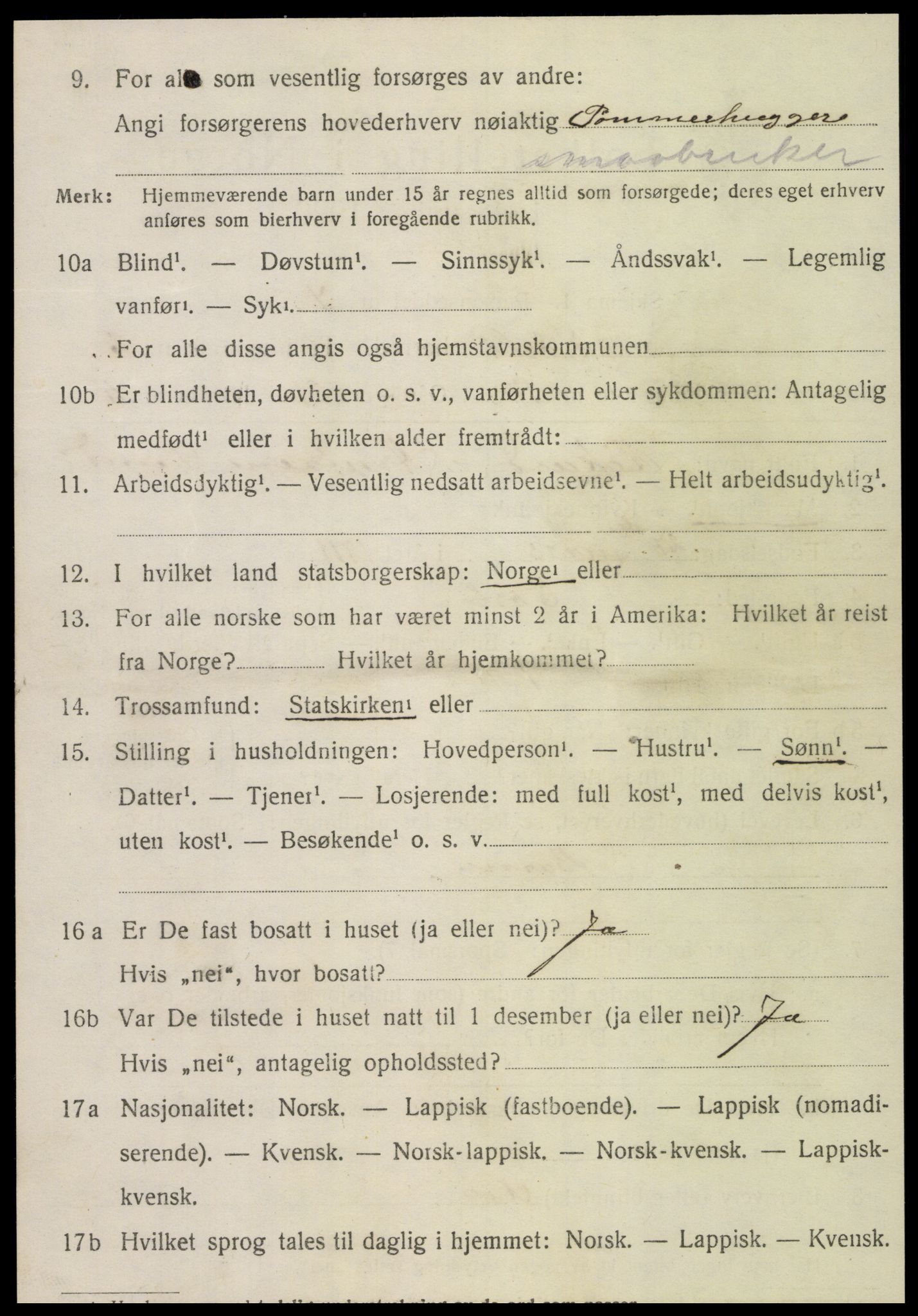 SAT, 1920 census for Sørli, 1920, p. 1060