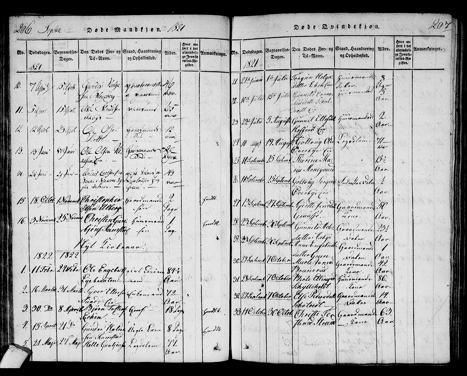 Sigdal kirkebøker, AV/SAKO-A-245/F/Fa/L0005: Parish register (official) no. I 5 /1, 1815-1829, p. 206-207