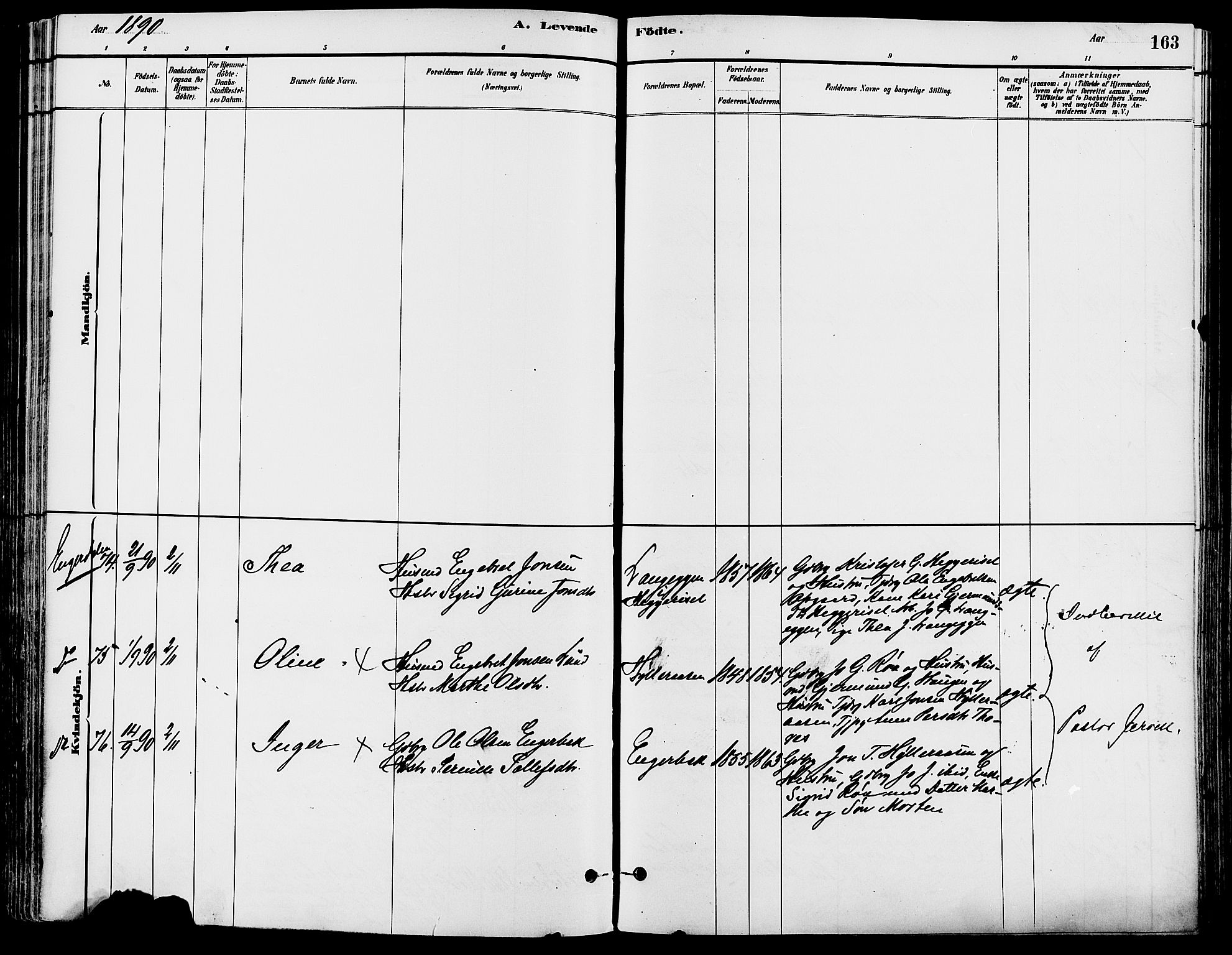 Trysil prestekontor, SAH/PREST-046/H/Ha/Haa/L0008: Parish register (official) no. 8, 1881-1897, p. 163