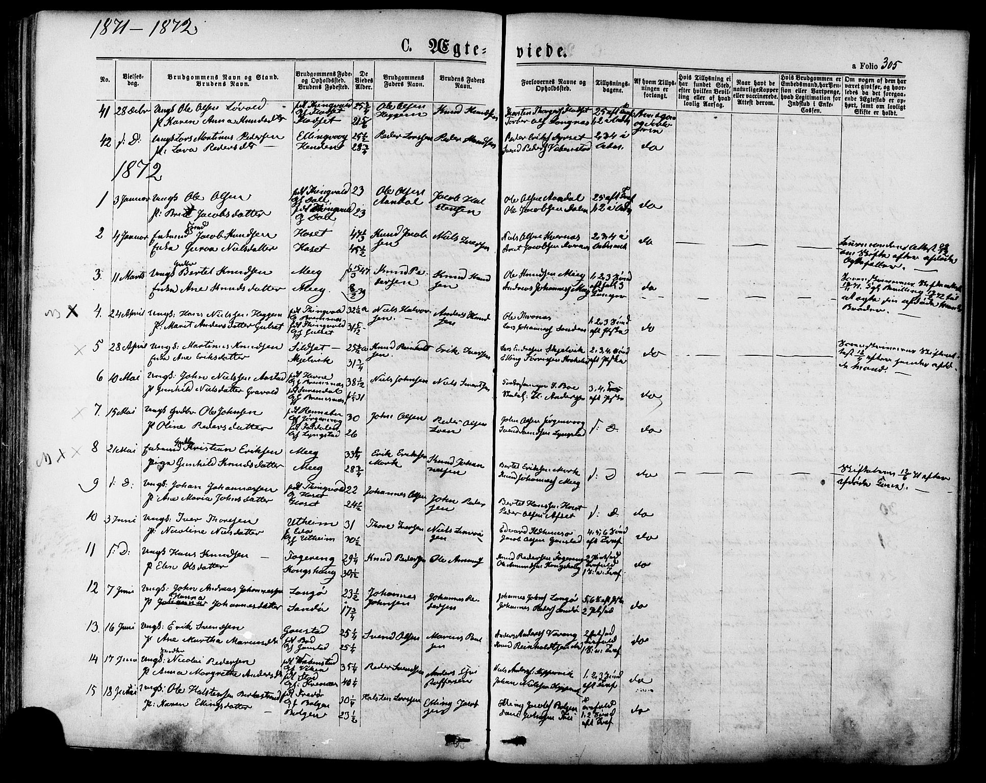 Ministerialprotokoller, klokkerbøker og fødselsregistre - Møre og Romsdal, AV/SAT-A-1454/568/L0805: Parish register (official) no. 568A12 /1, 1869-1884, p. 305