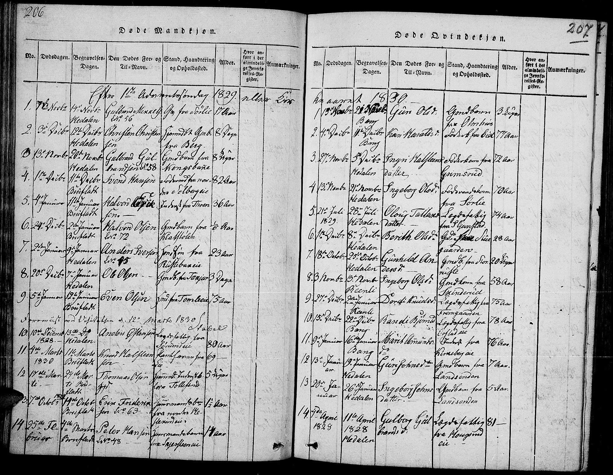 Sør-Aurdal prestekontor, SAH/PREST-128/H/Ha/Hab/L0002: Parish register (copy) no. 2, 1826-1840, p. 206-207