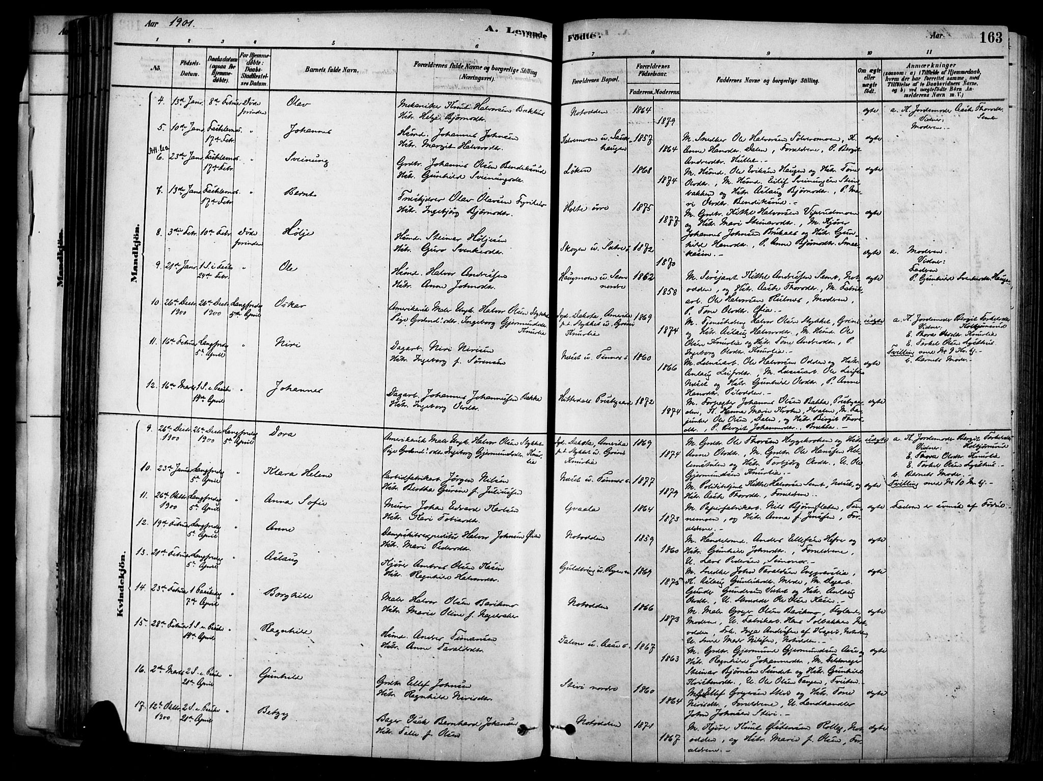 Heddal kirkebøker, SAKO/A-268/F/Fa/L0008: Parish register (official) no. I 8, 1878-1903, p. 163